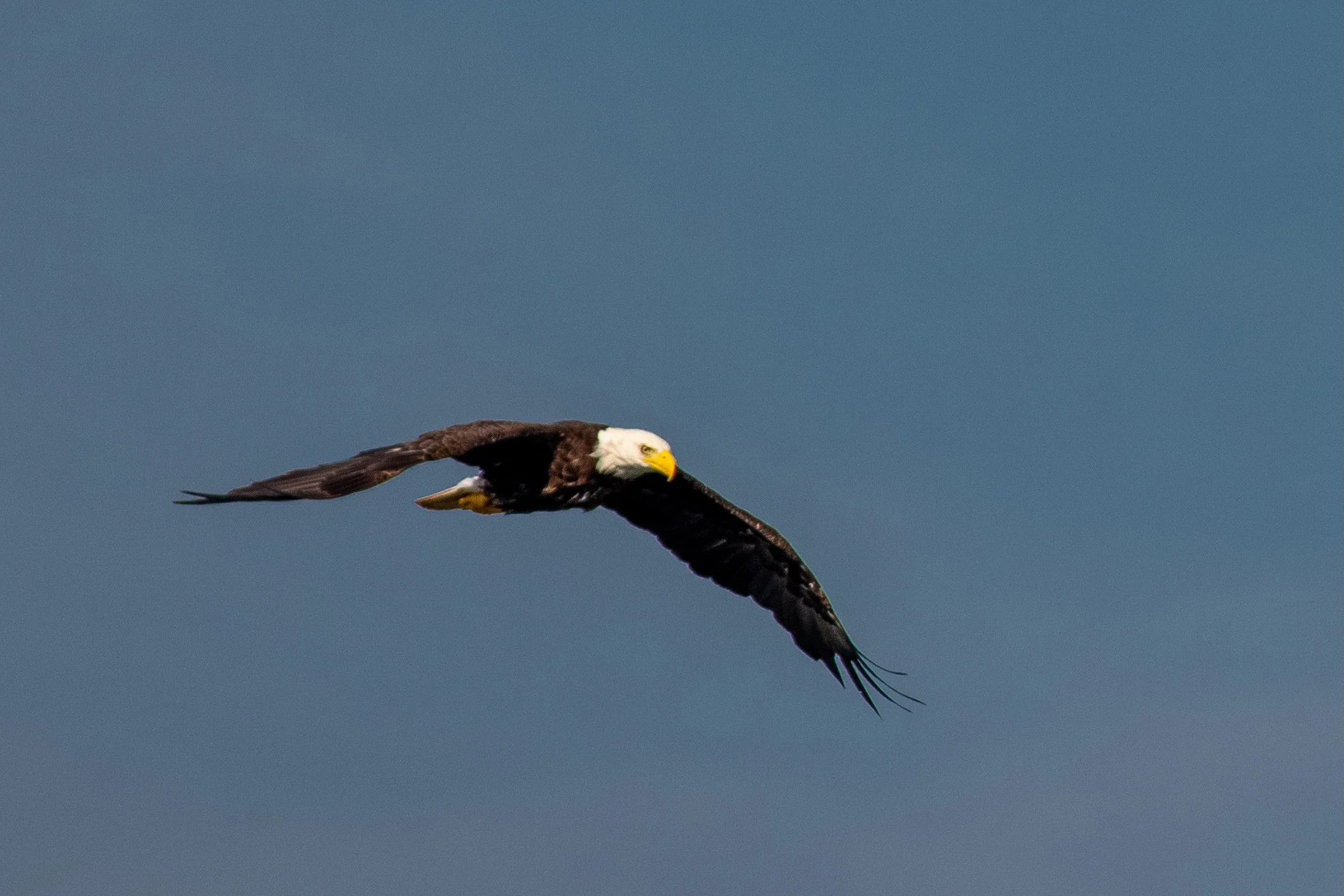 HuntingFishing-5.jpg