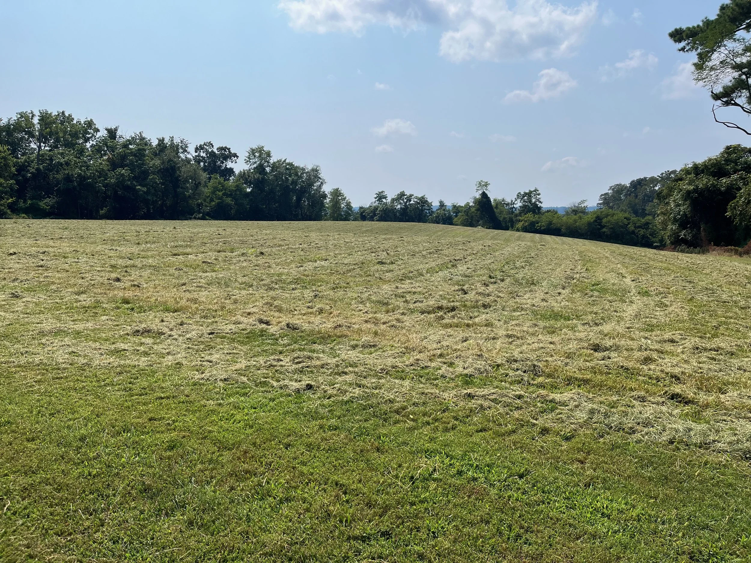 13 Acre Lot