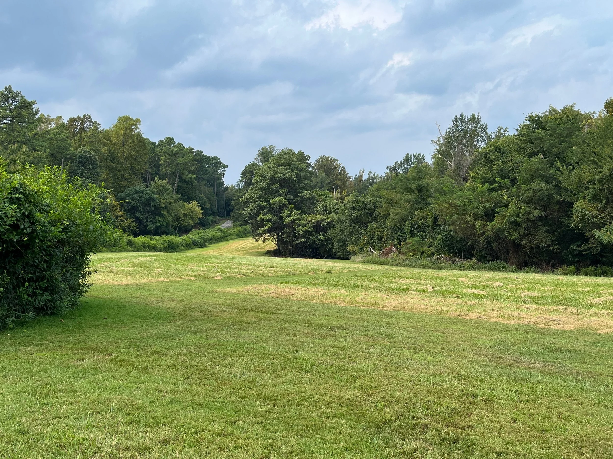 13 Acre Lot