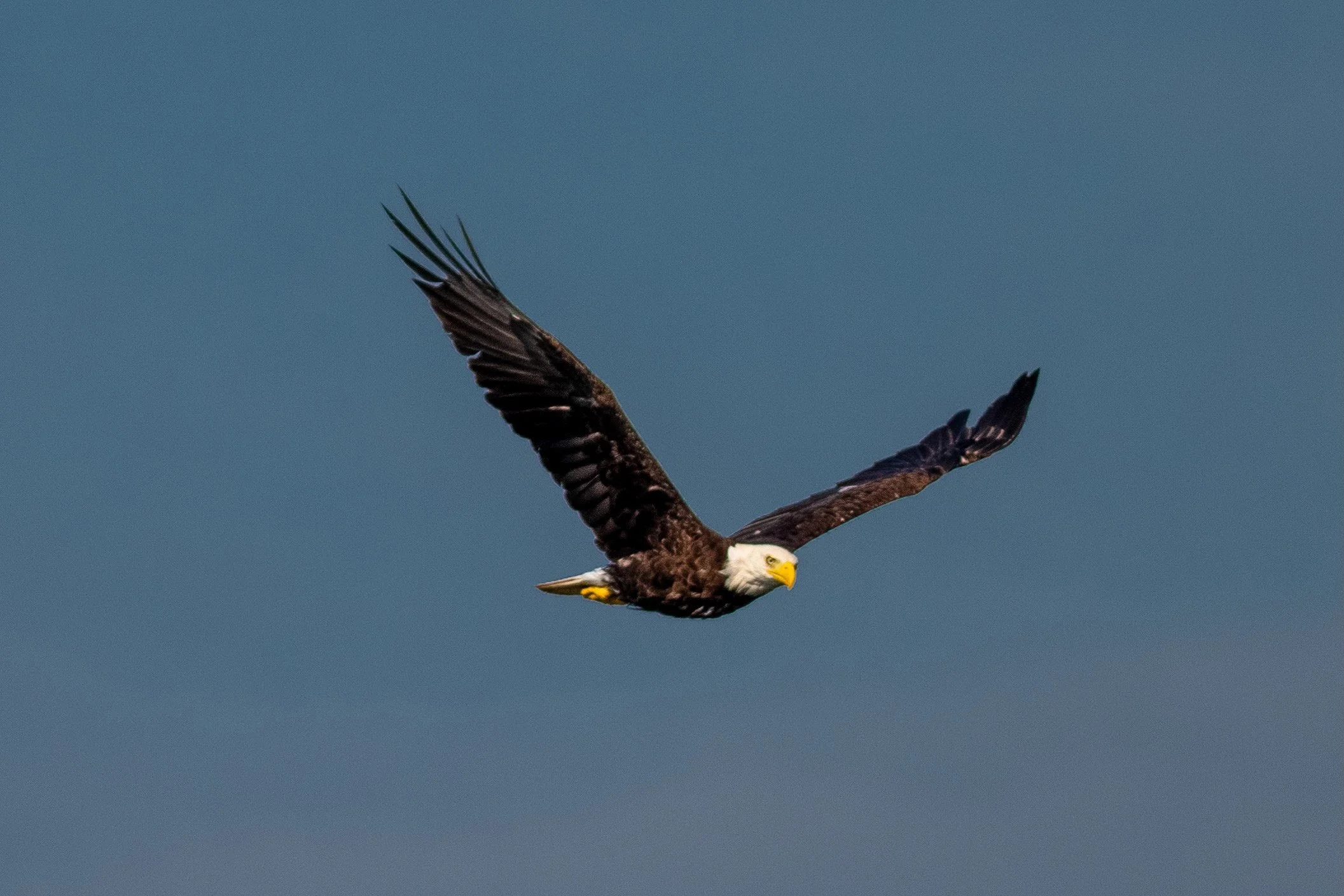 HuntingFishing-6.jpg