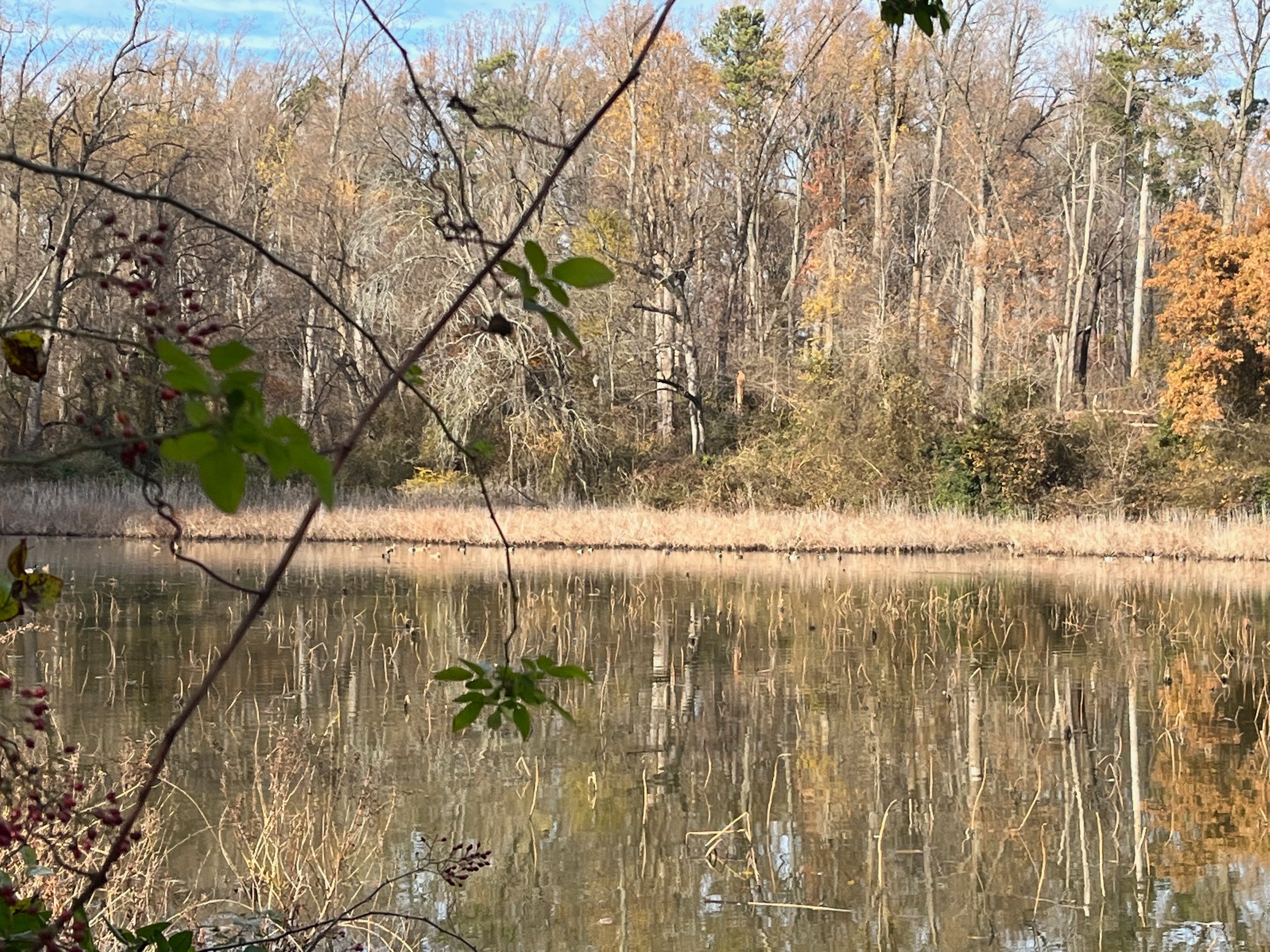 HuntingFishing-14.jpg