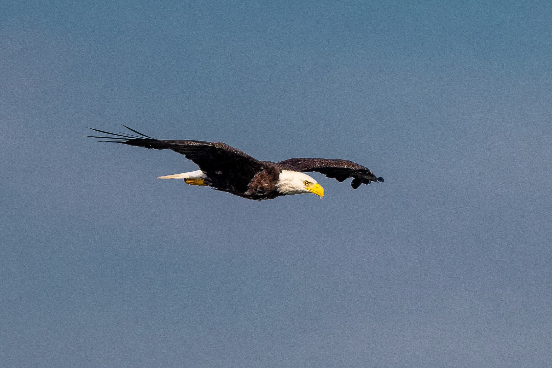 HuntingFishing-7.jpg
