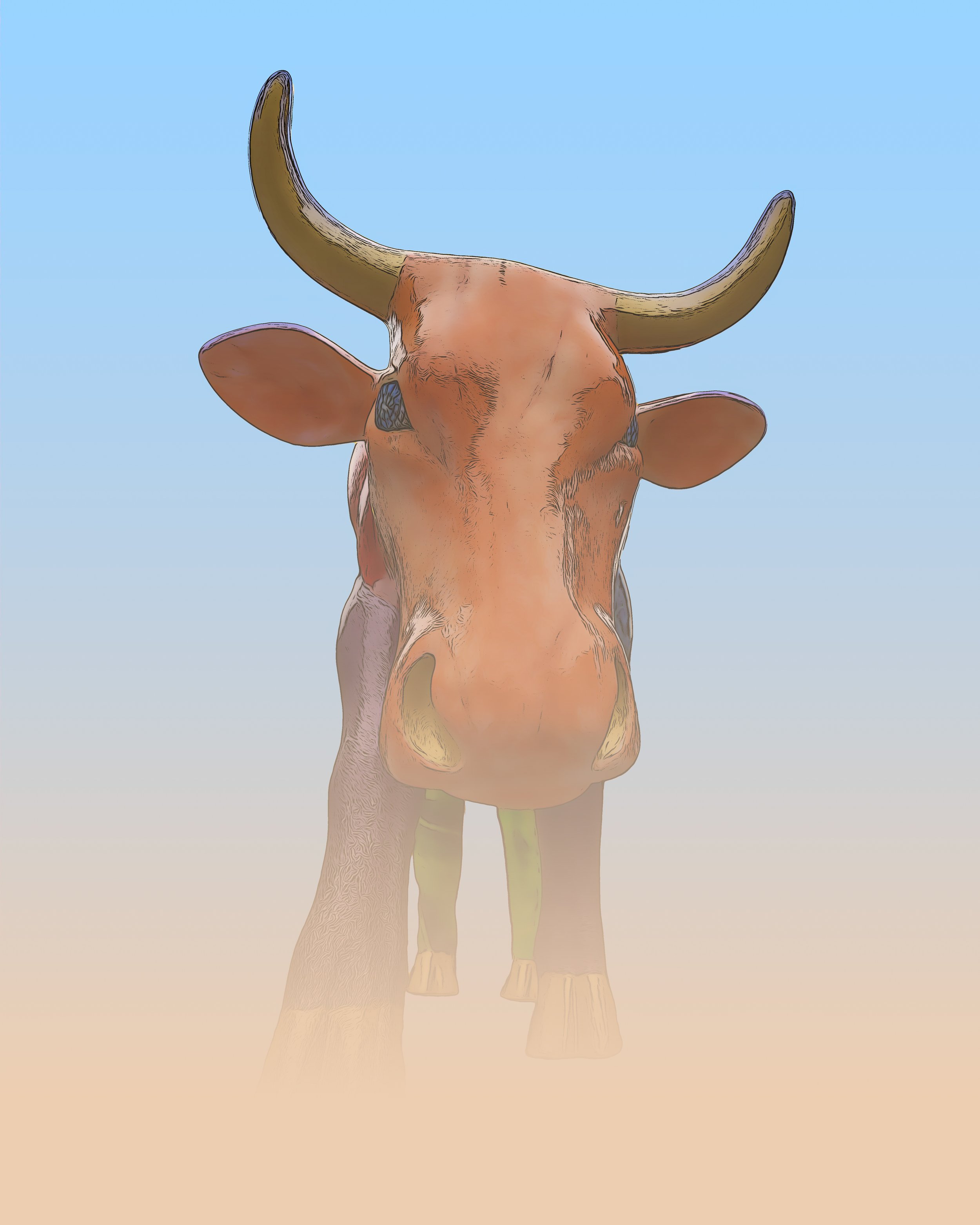 Dusty Bull - Boston, MA.jpg