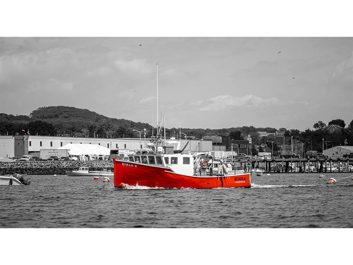 Rizla II 11x20 - Gloucester, MA.jpg