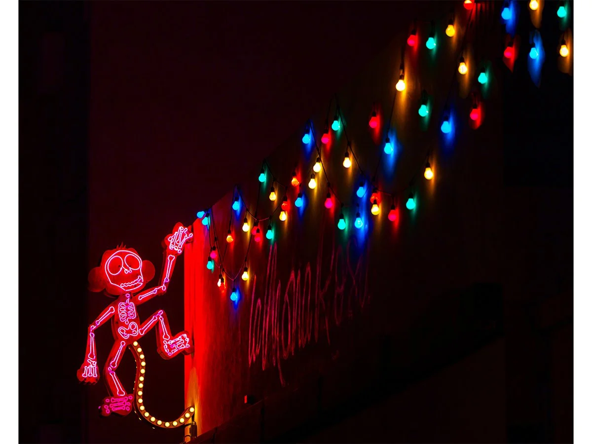 Dancing Monkey - La Mona Rosa