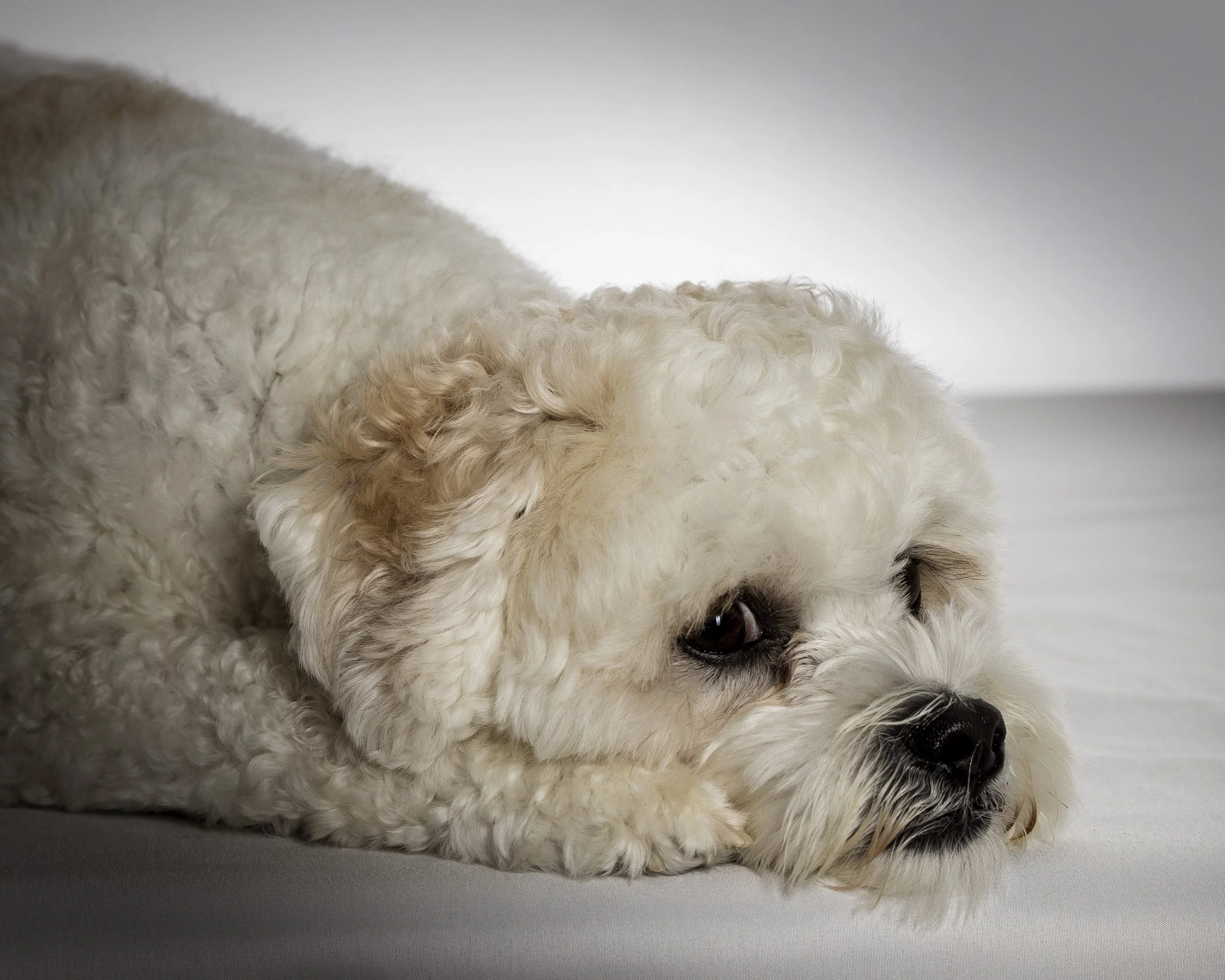 Brady 1st Portrait Session (2).jpeg