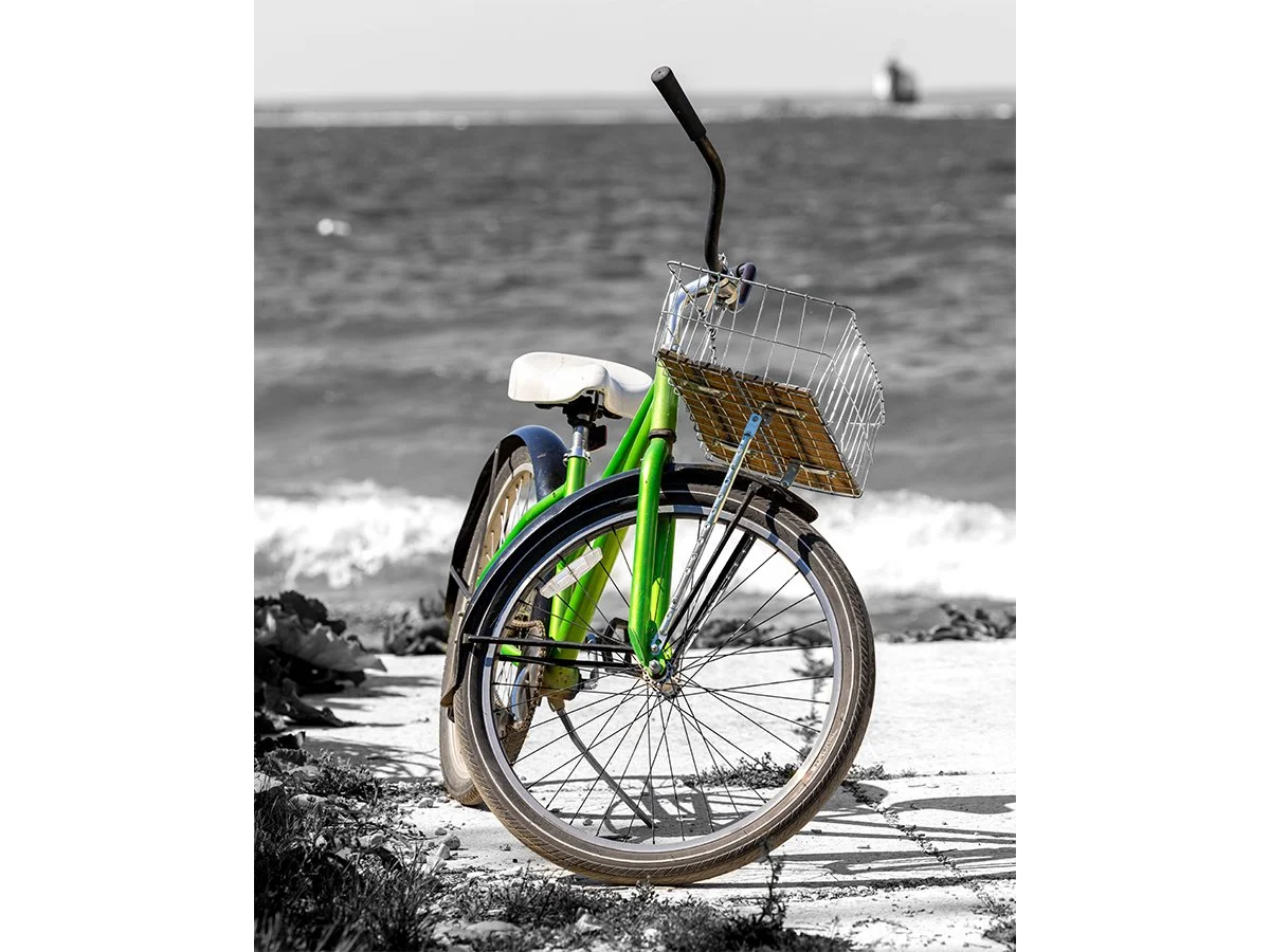 Shoreline Schwinning - Mackinac Island, MI.jpg