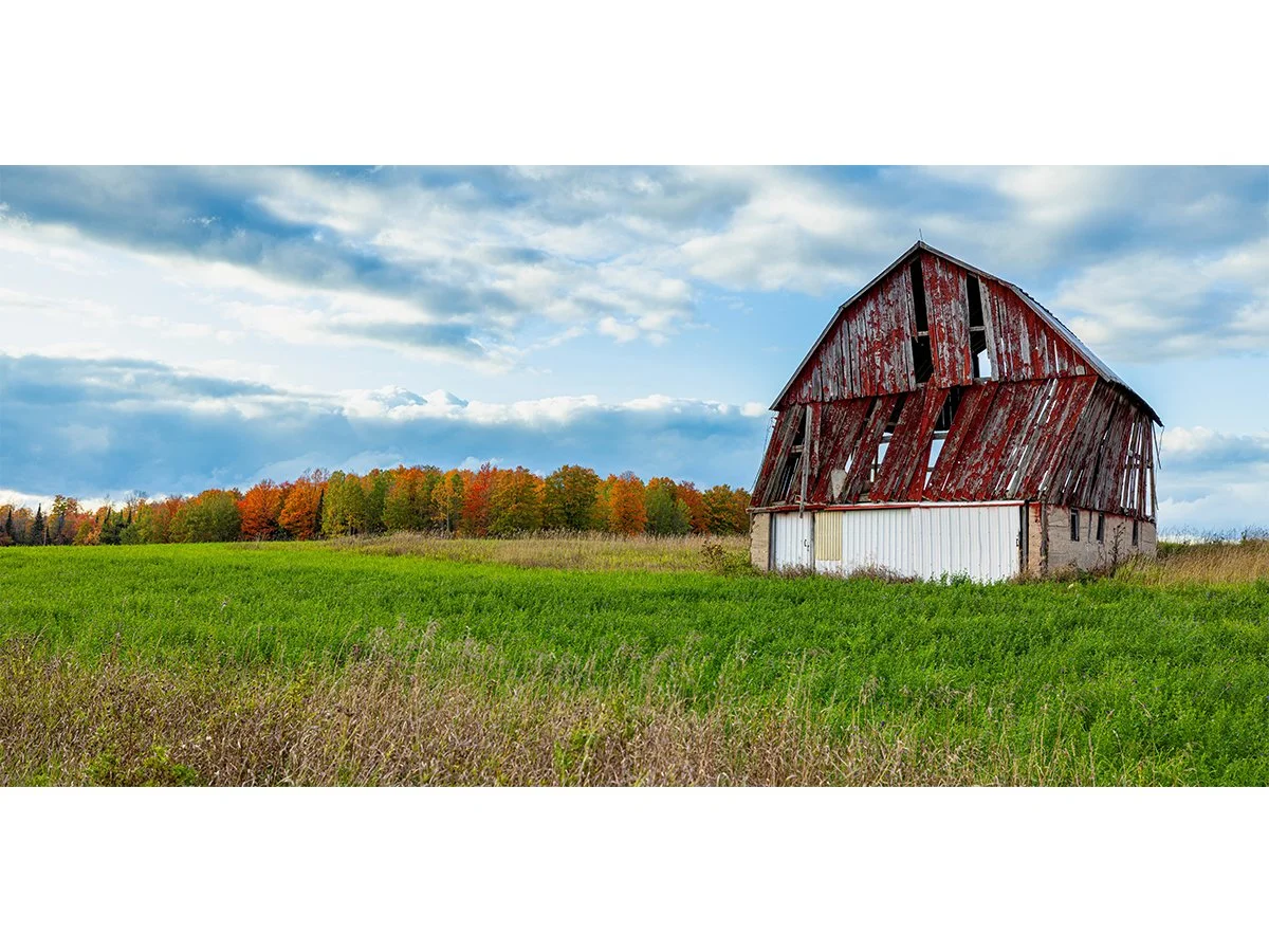 Northern Autumn - Northern Michigan.jpg