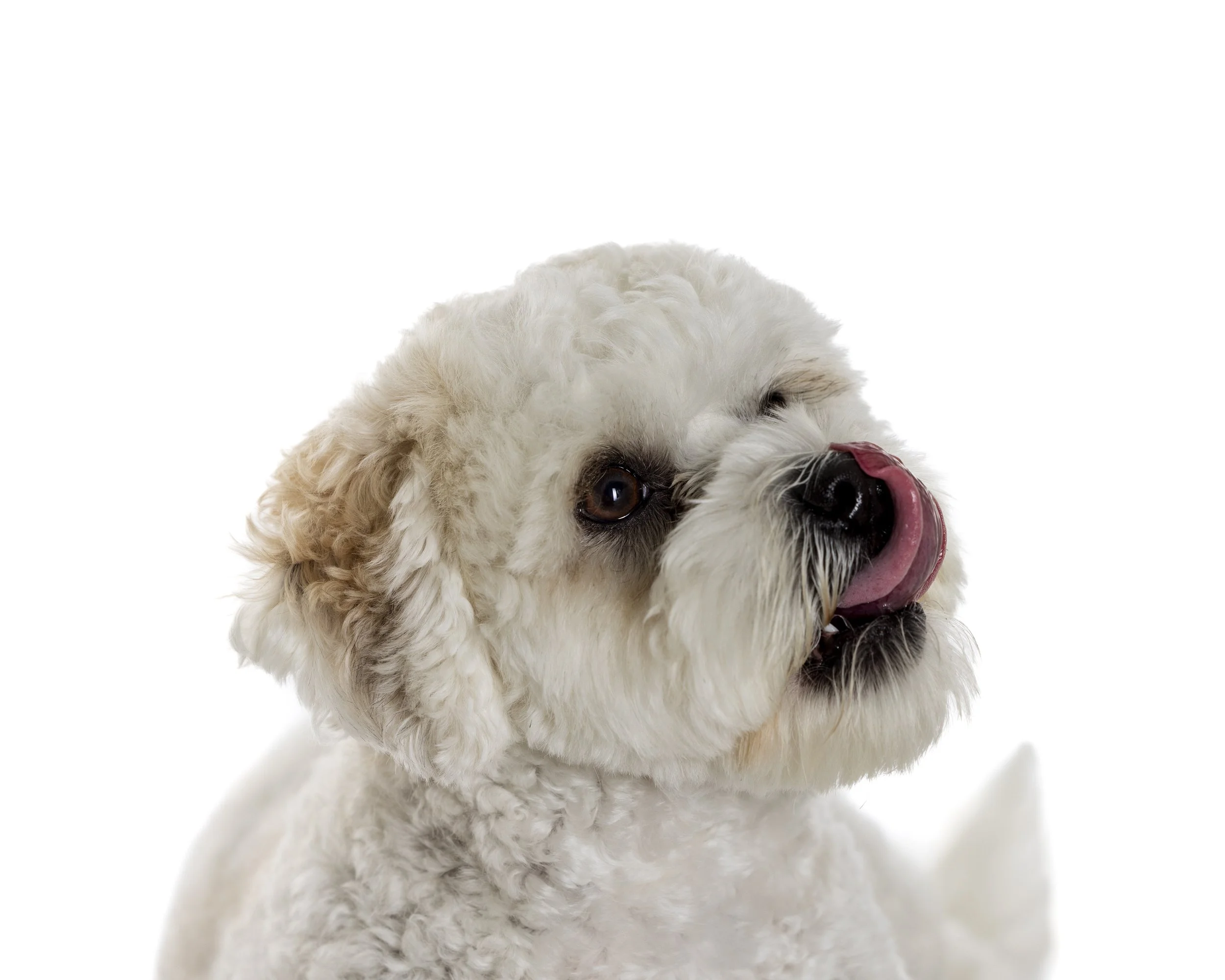 Brady 1st Portrait Session (13).jpeg