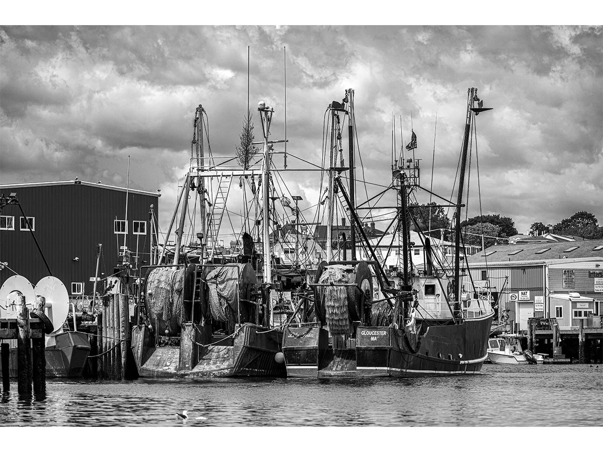 Lily Jean and Miss Trish II 14x21 - Gloucester, MA.jpg