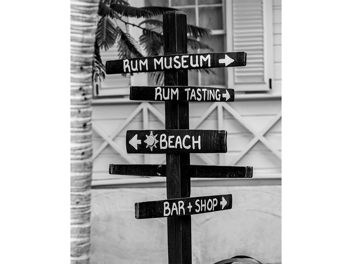 The Beach Can Wait.jpg