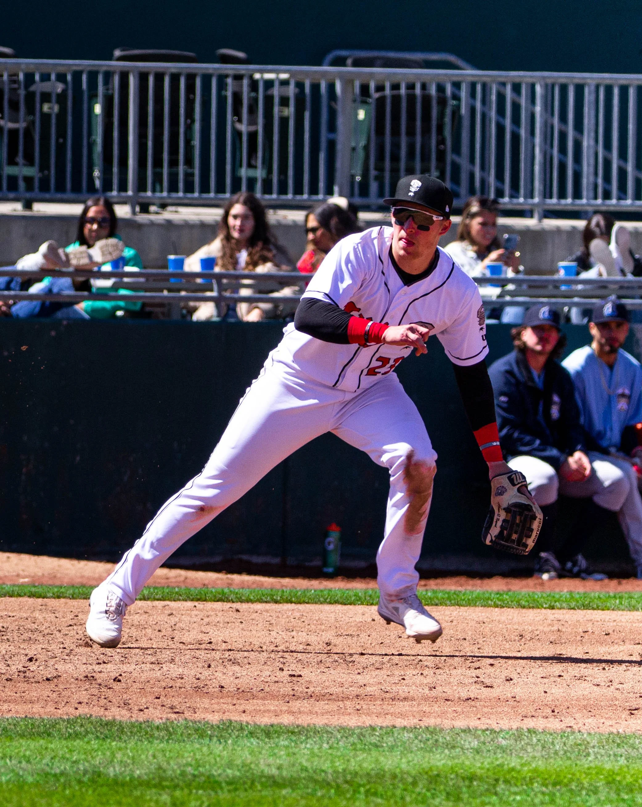 No 23 Brett Harris (1).jpg