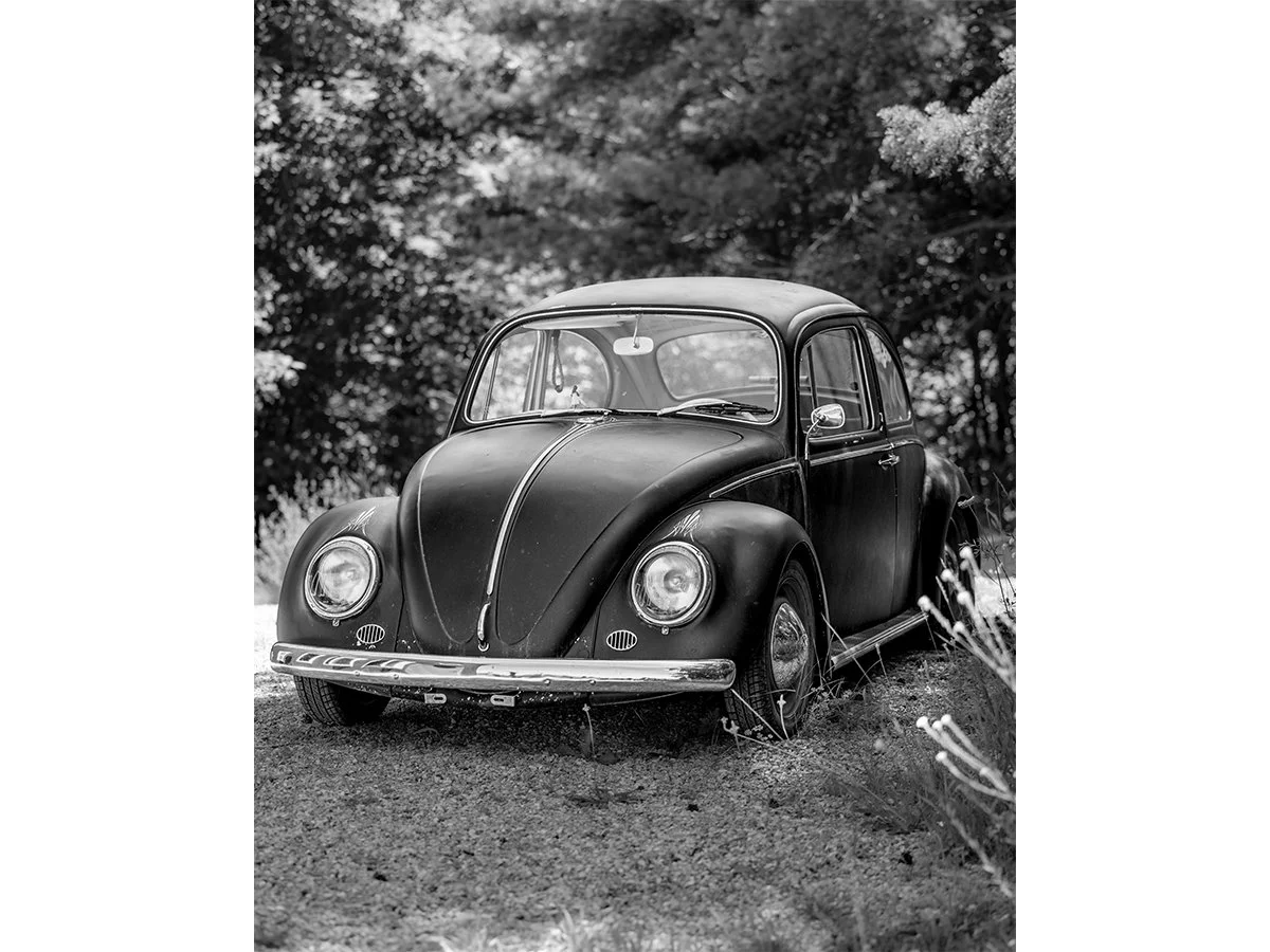 VW Bug - Northern MI.jpg
