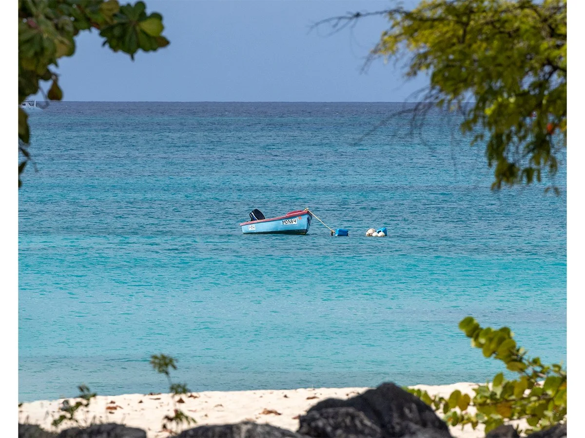 Fisherman's Self-Parking