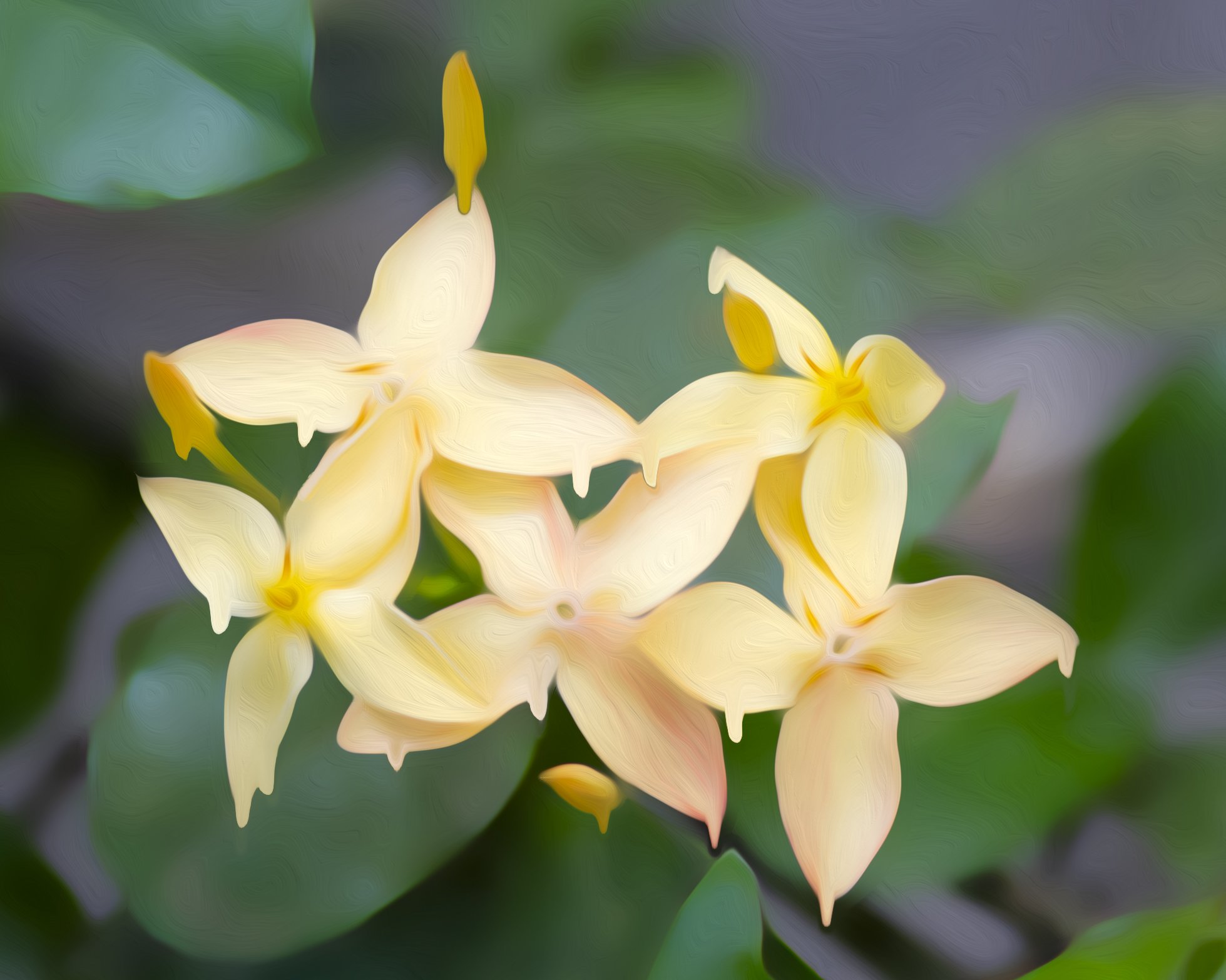 Gardenia Drip - St Lucia.jpg