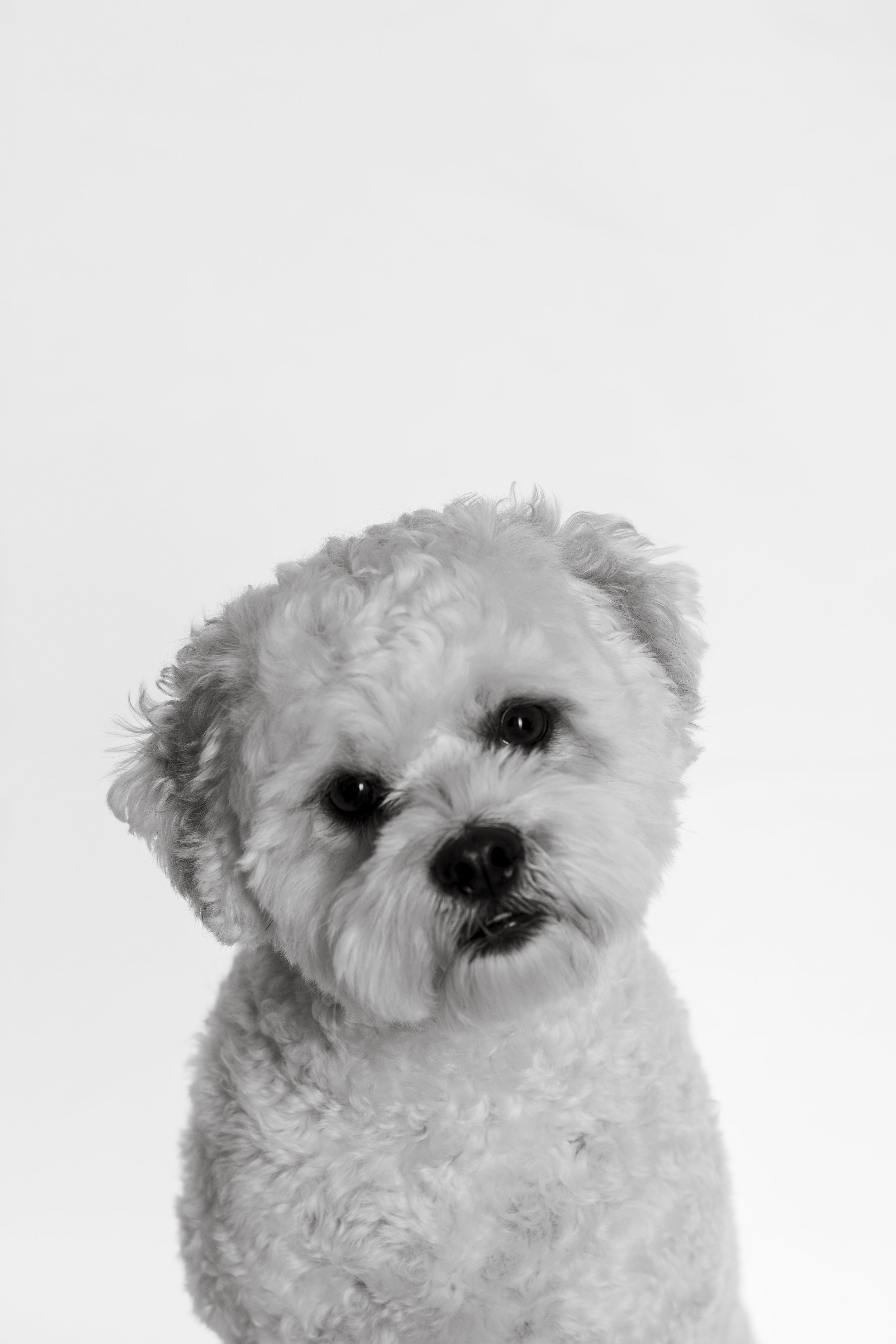 Brady 1st Portrait Session (7).jpeg