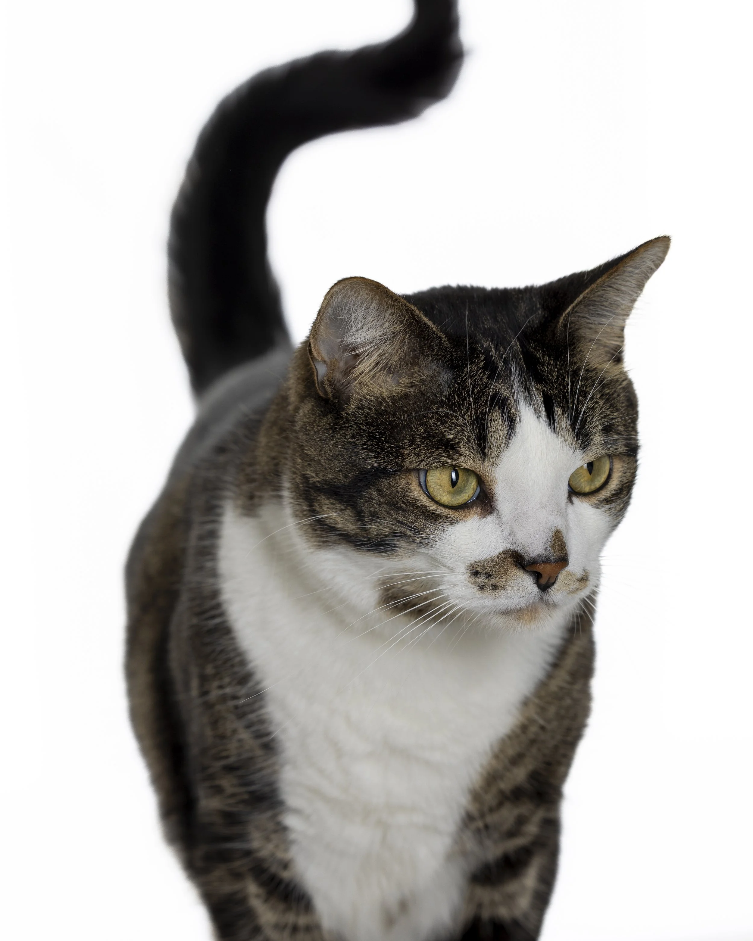 Eugene 1st Portrait Session (1 of 7).jpeg