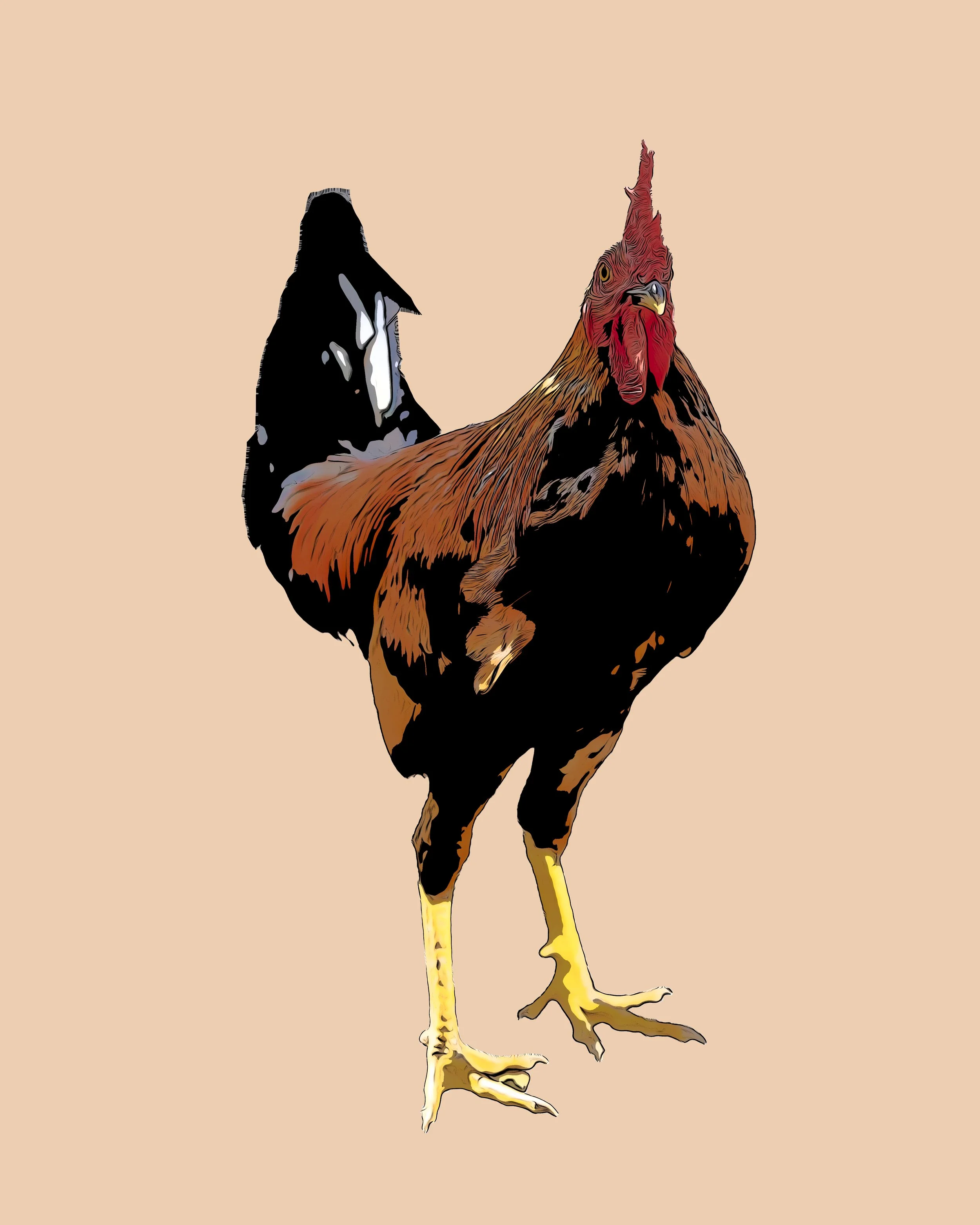 Early Riser Pop Art - Old San Juan, PR.jpg