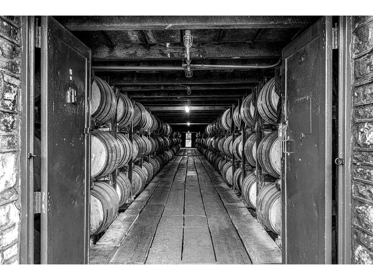 Patiently Waiting - Buffalo Trace Distillery, KY.jpg