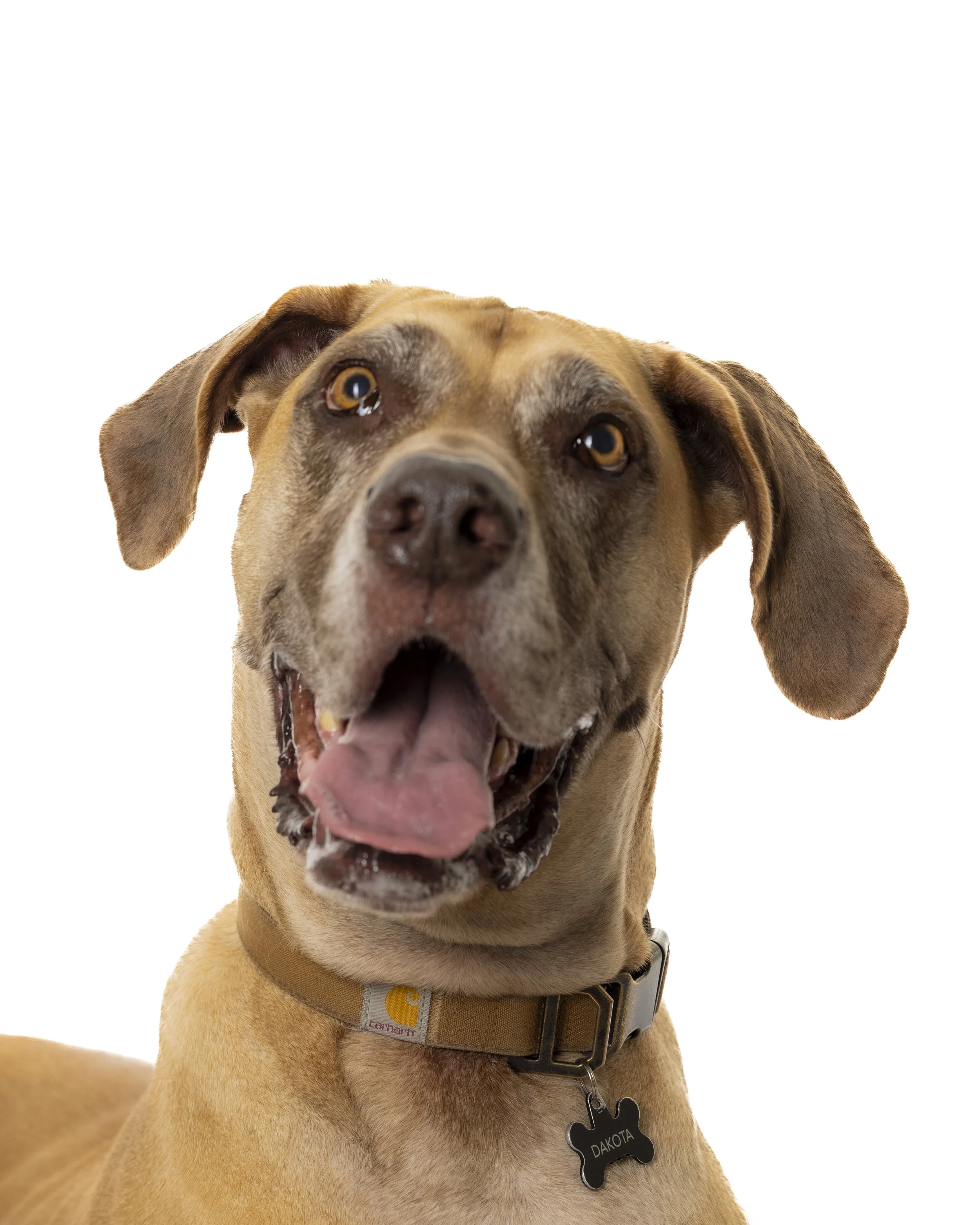 Dakota 1st Portrait Session (14 of 17).jpeg