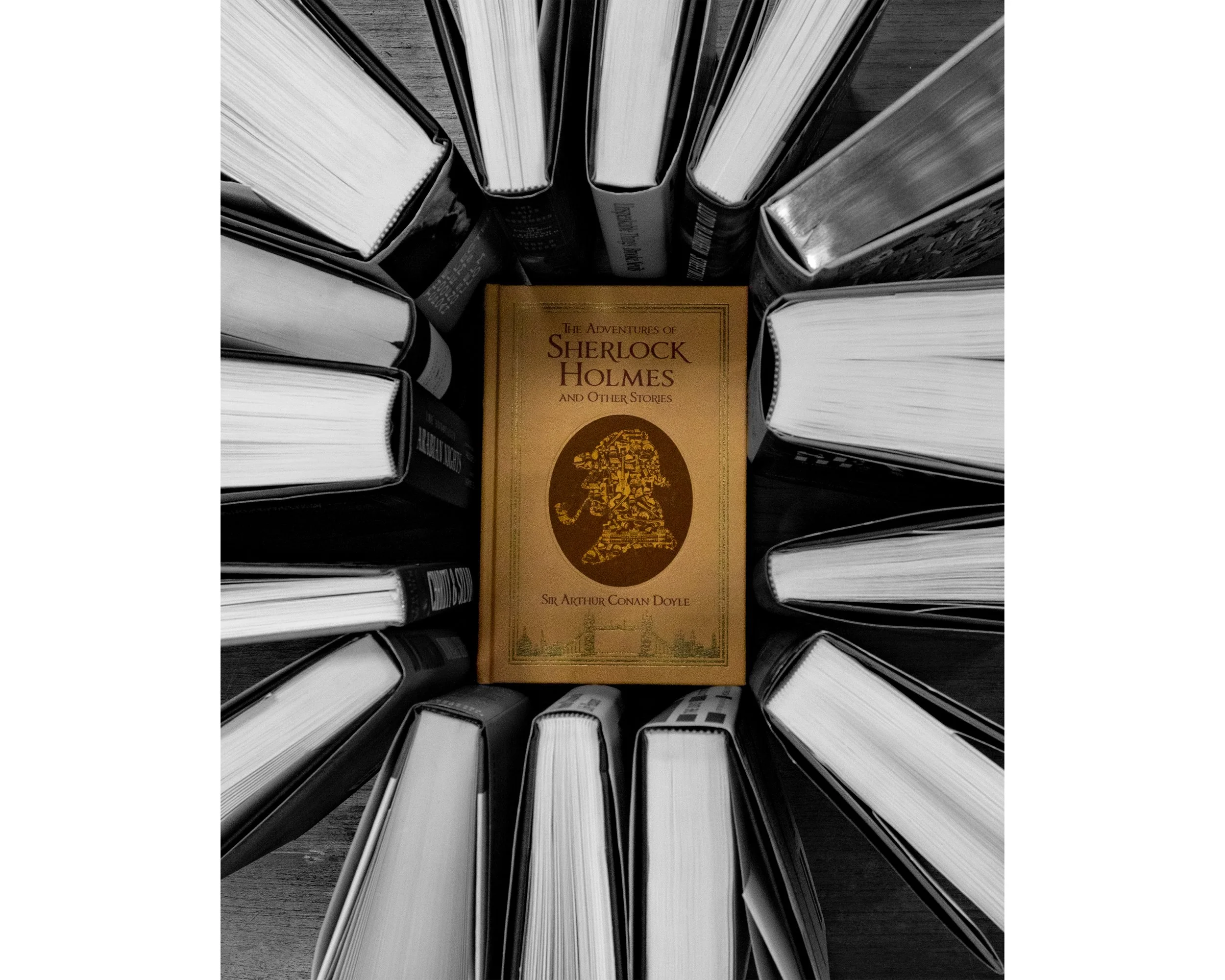 Sherlock Holmes and Other Stories 8x10 4x5.jpg
