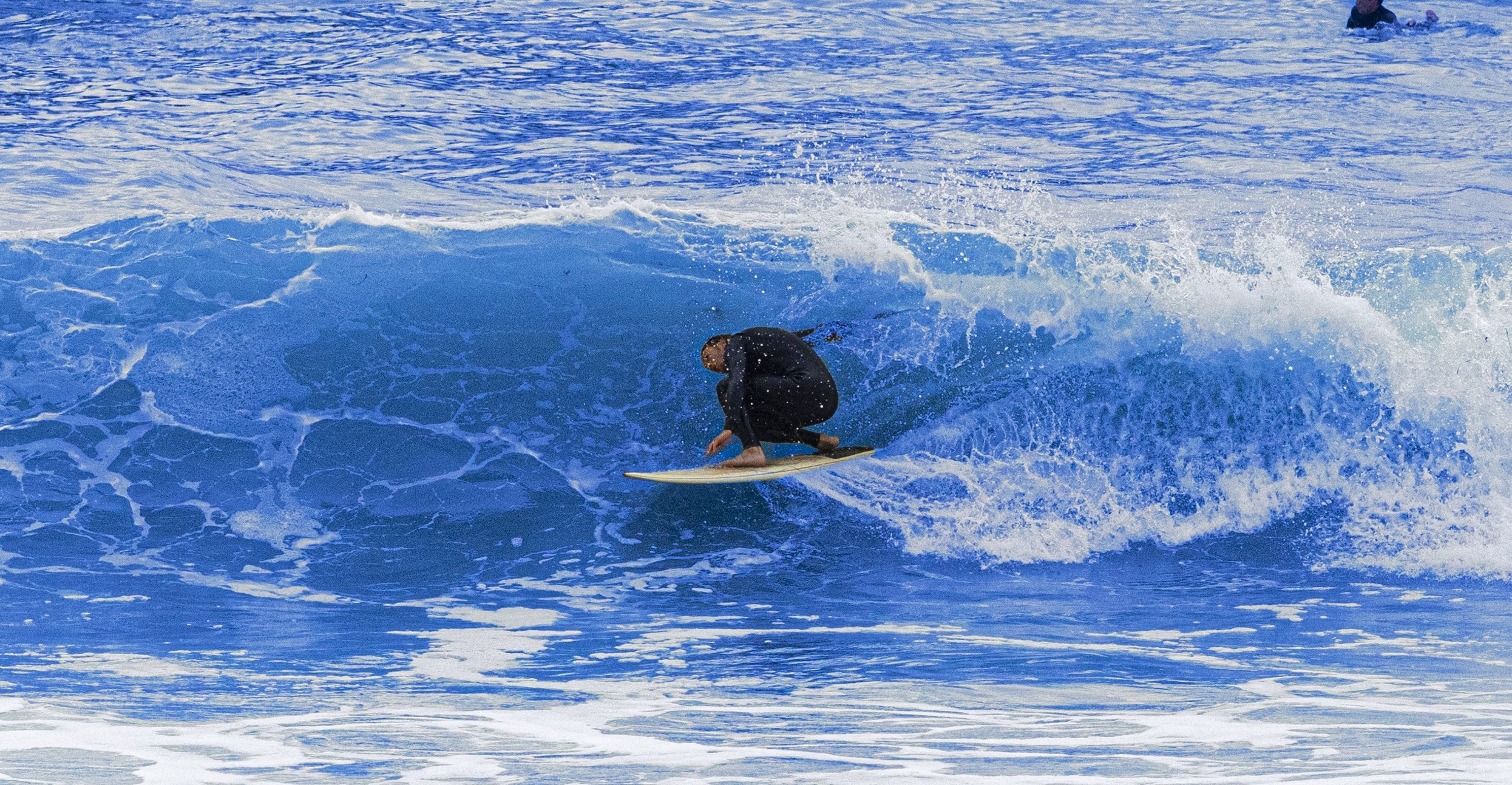 MJOP (30 of 501).jpg