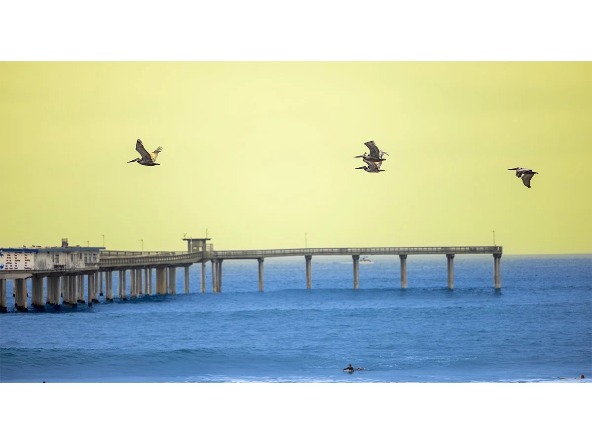 Pacific Hopscotch 11x20 - Ocean Beach, CA.jpg