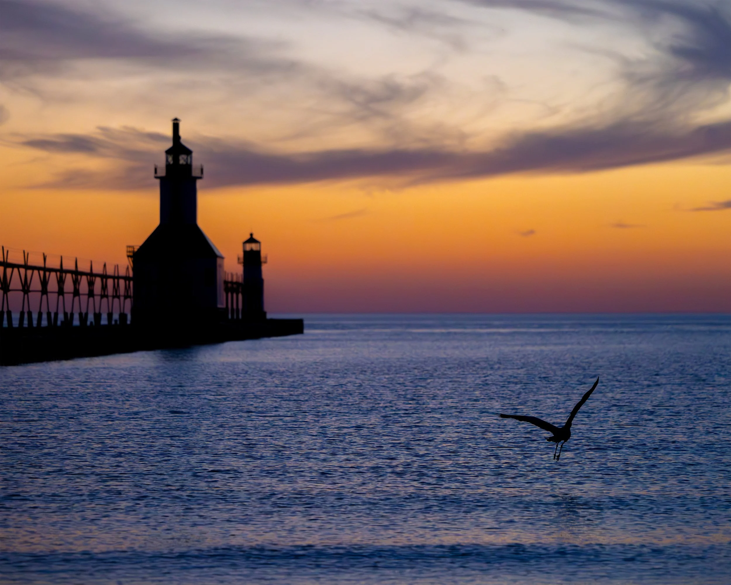 Sunset Flight 8x10 4x3.jpg