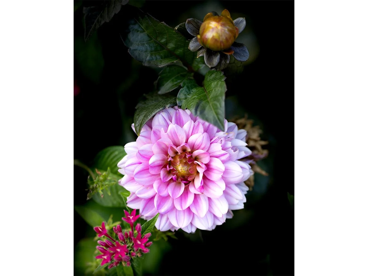 Yesterday - Atlanta, GA.jpg