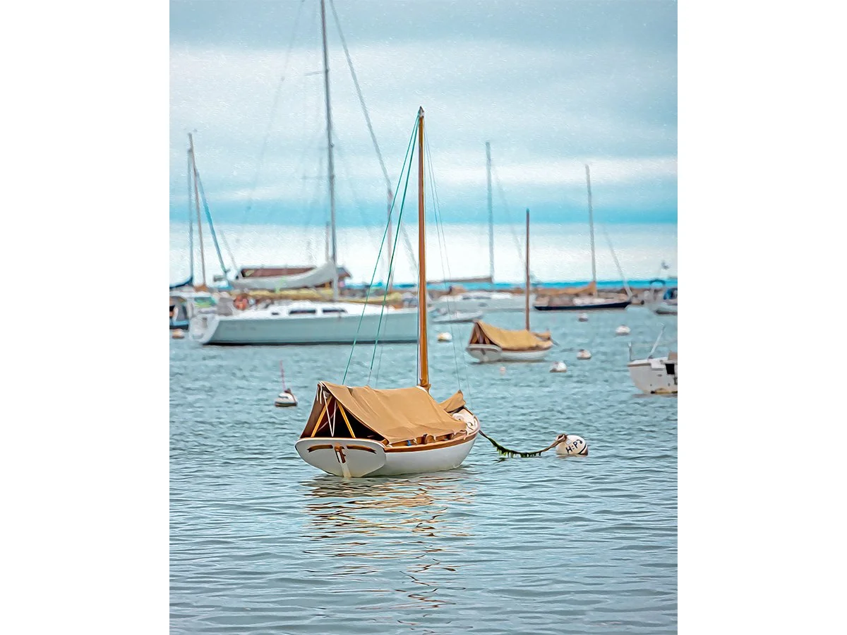 Moor Than A Photo - Martha's Vinyard, MA.jpg