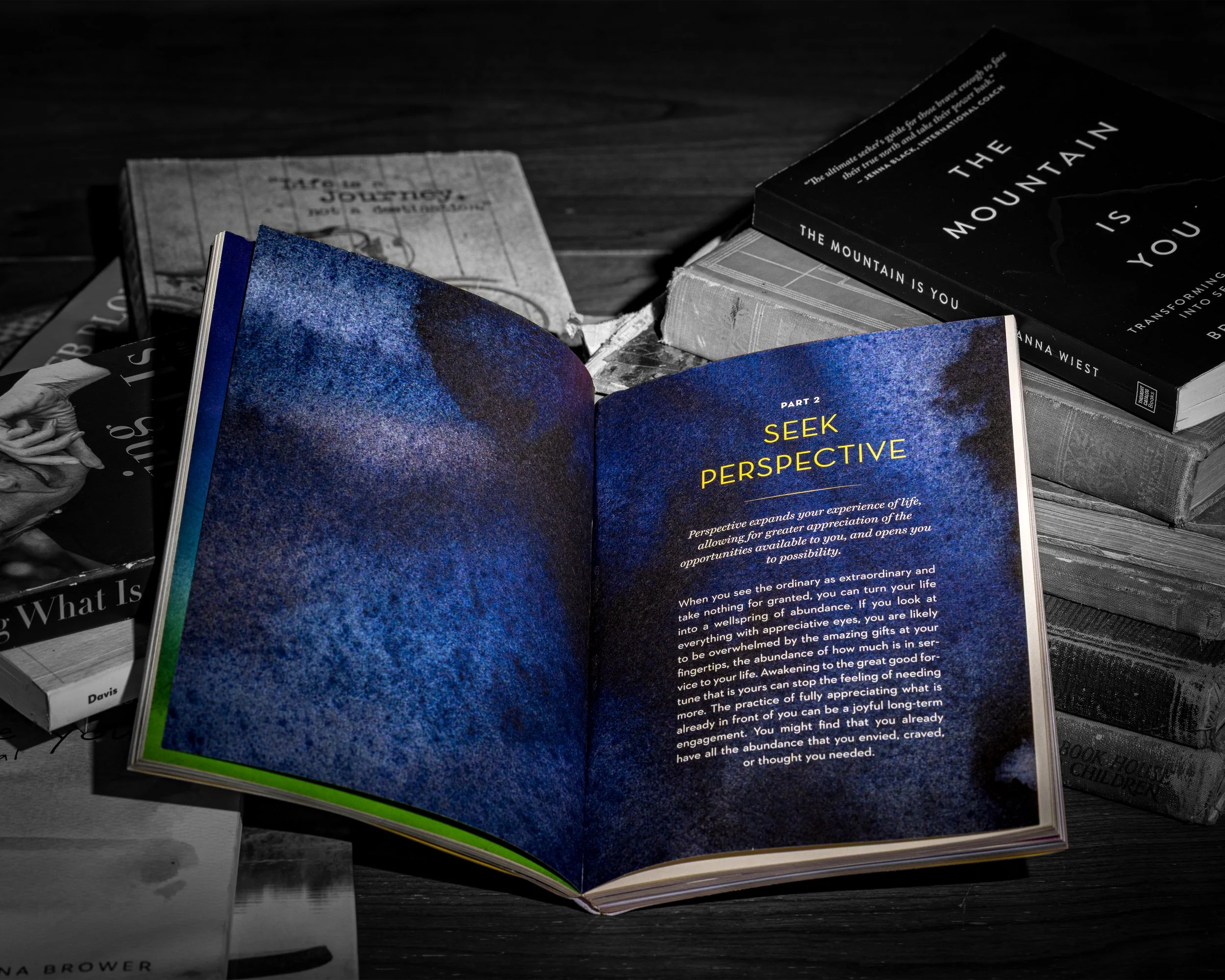 Seek Perspective 8x10 4x5 (2).jpg