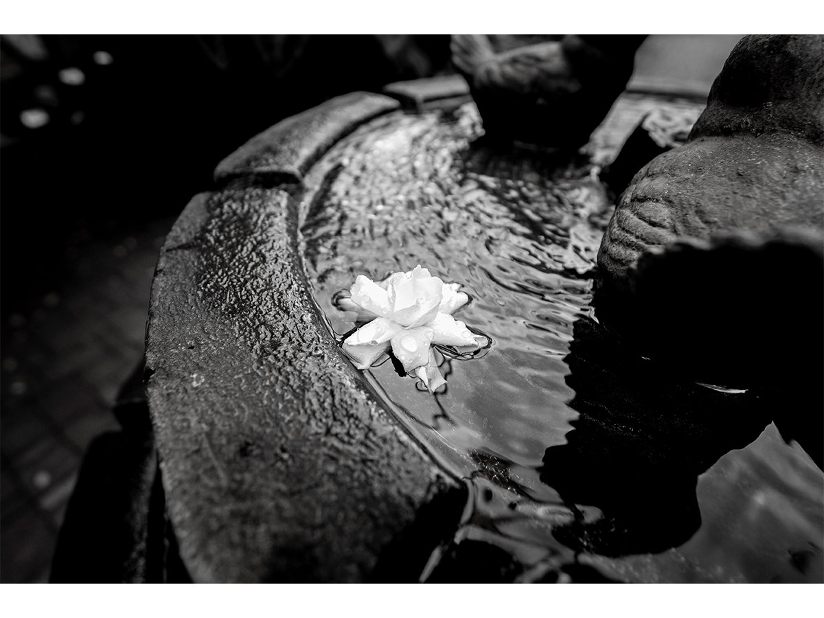 Hope Floats
