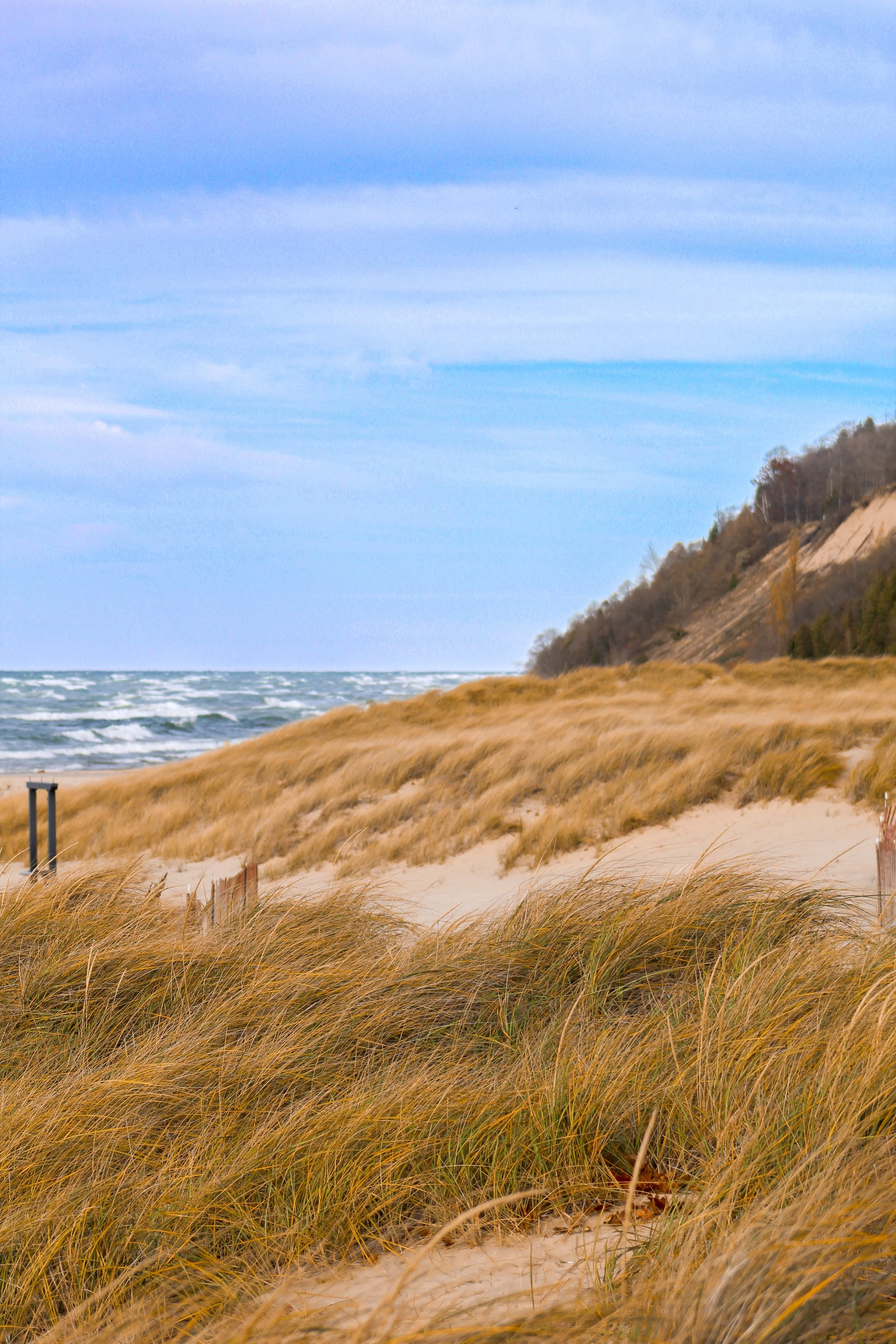 Lake Michigan Sands - Lake Michigan, MI.jpg