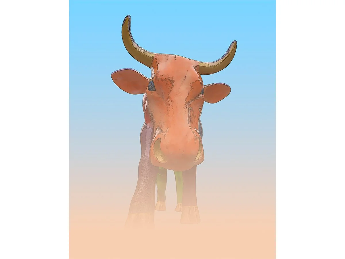 Dusty Bull