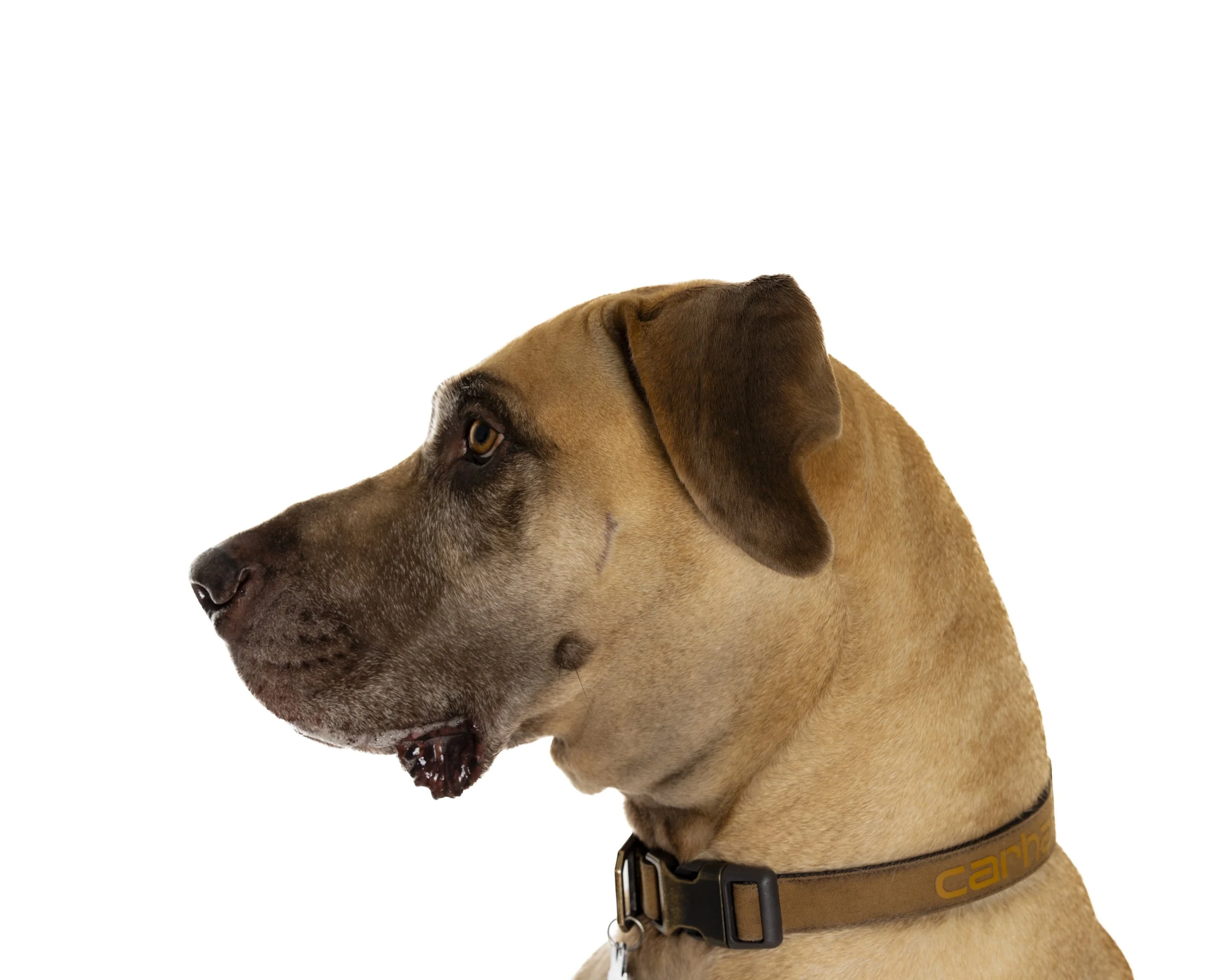 Dakota 1st Portrait Session (3 of 17).jpeg