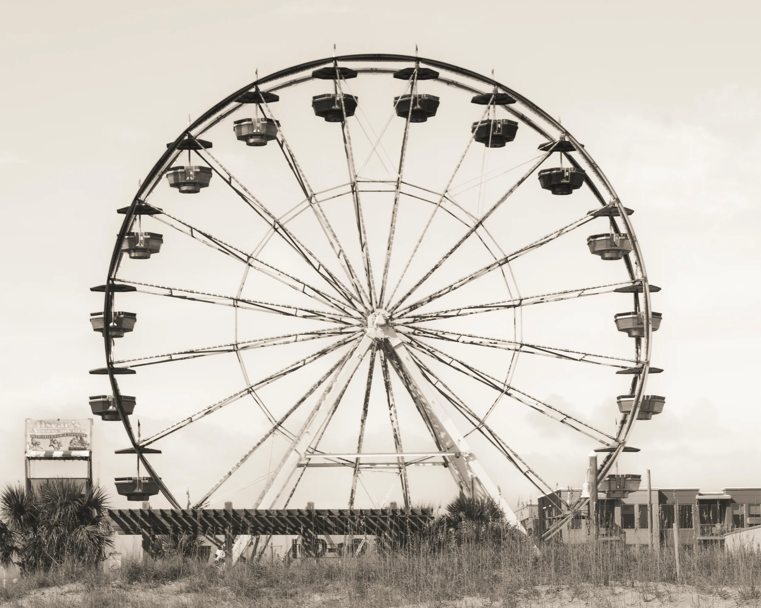 Vintage Wheel 8x10 4x5T WebP.webp