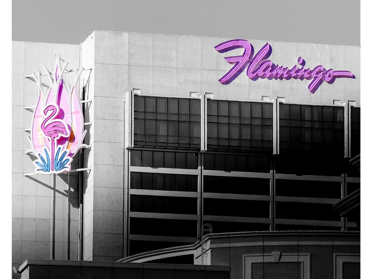 Flamingo