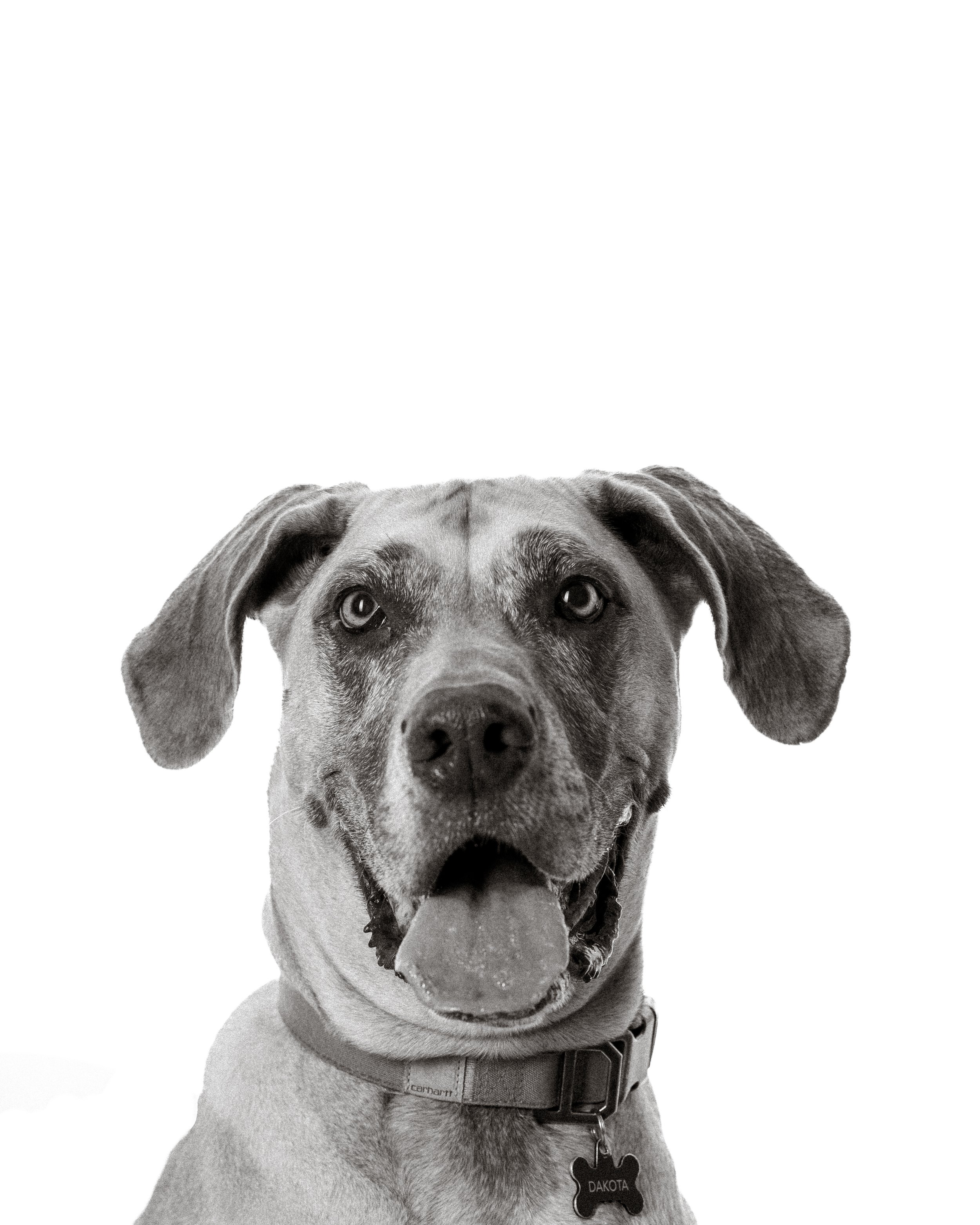 Dakota 1st Portrait Session (11 of 17).jpeg