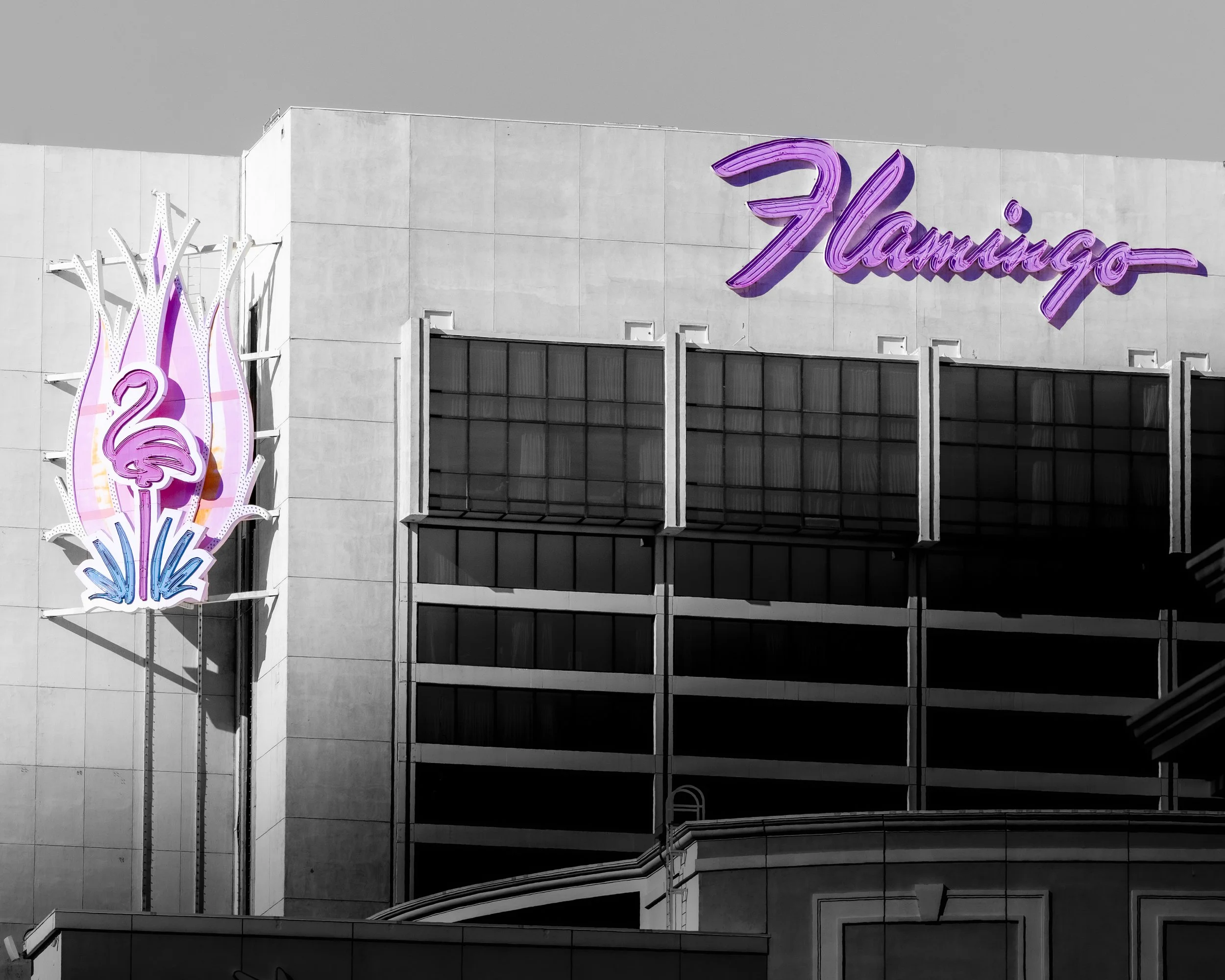 Flamingo - Las Vegas, NV.jpg