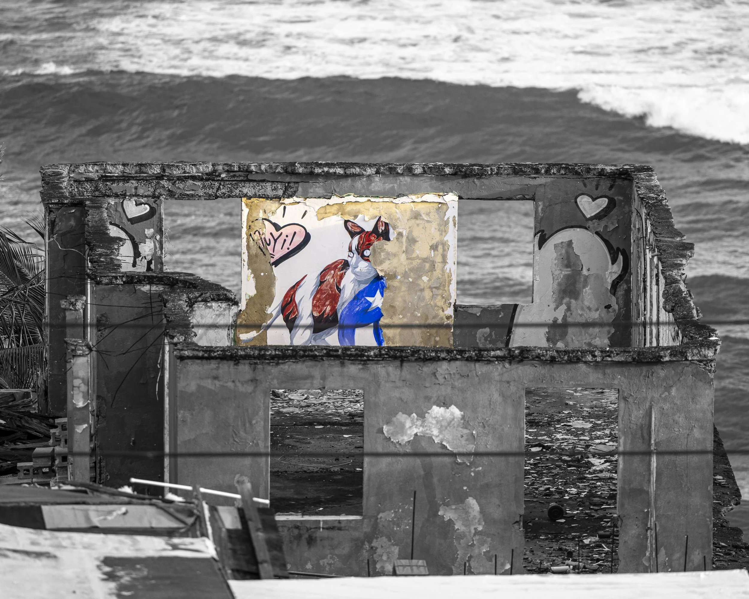 Feisty Kitty - San Juan, PR (1).jpg