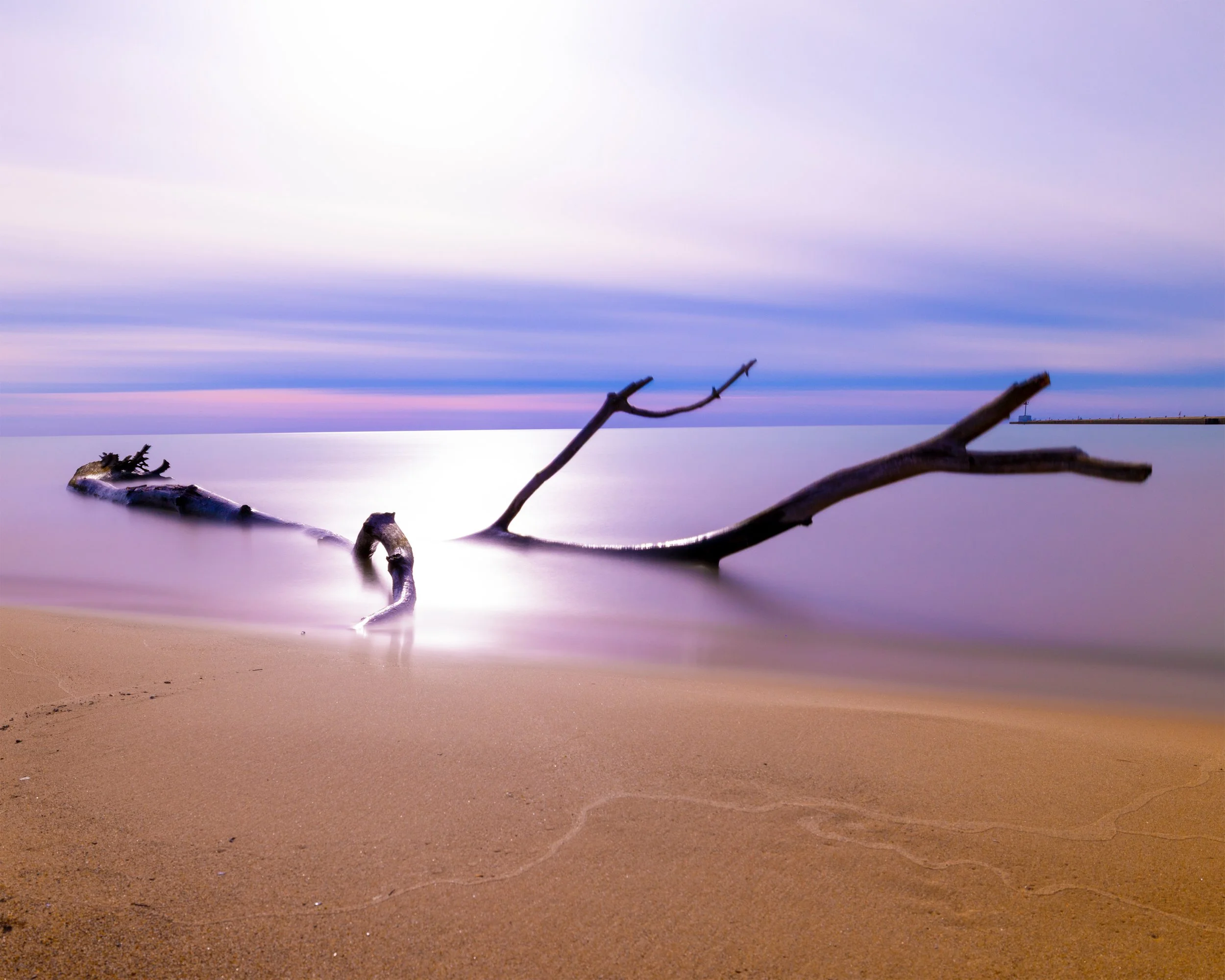 Smooth Like Violet 8x10 4x3.jpg