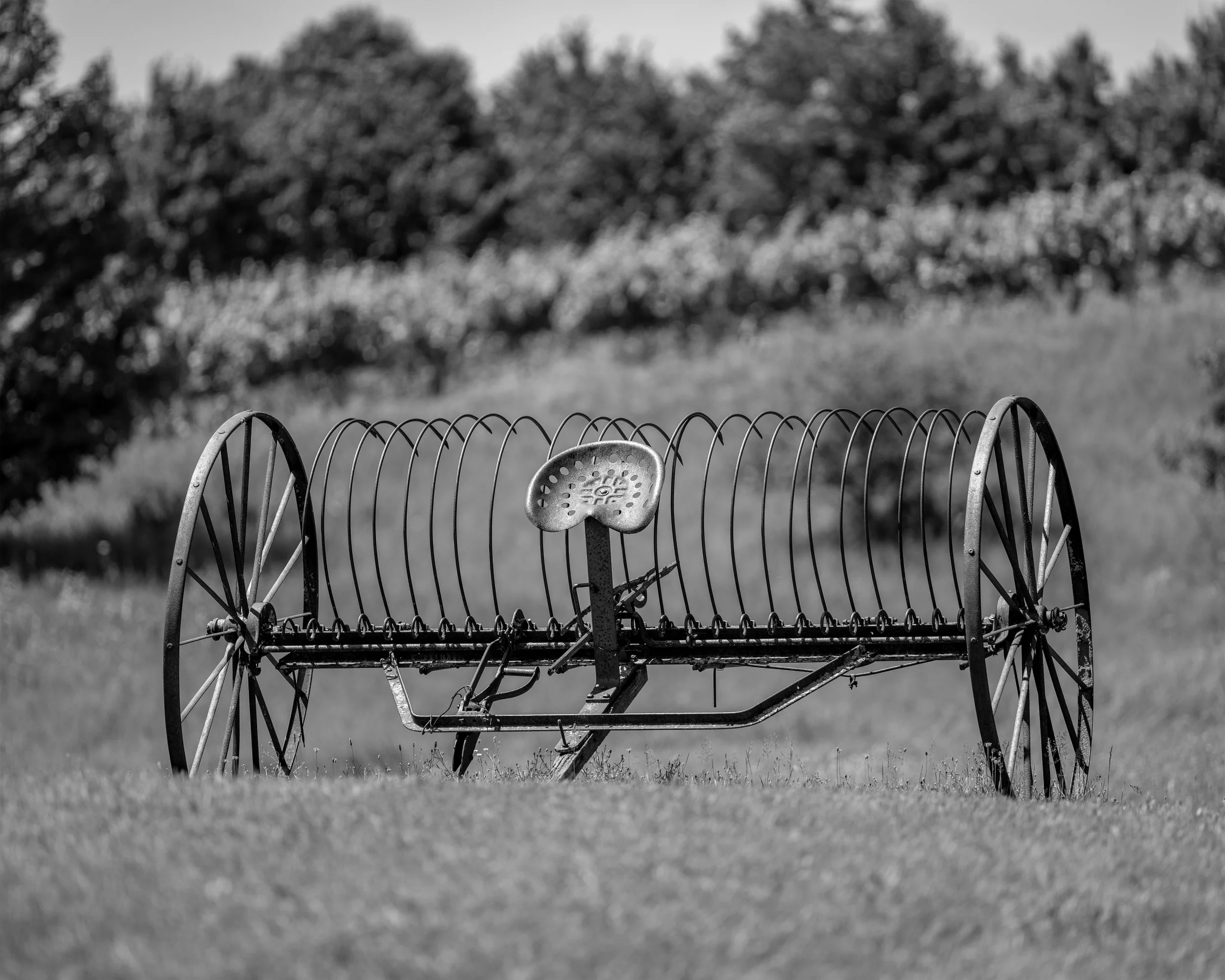 Antique Dump Rake 8x10 4x5T WebP (1).webp