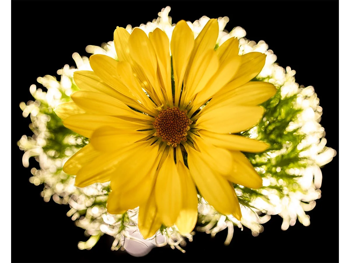 Flower 2