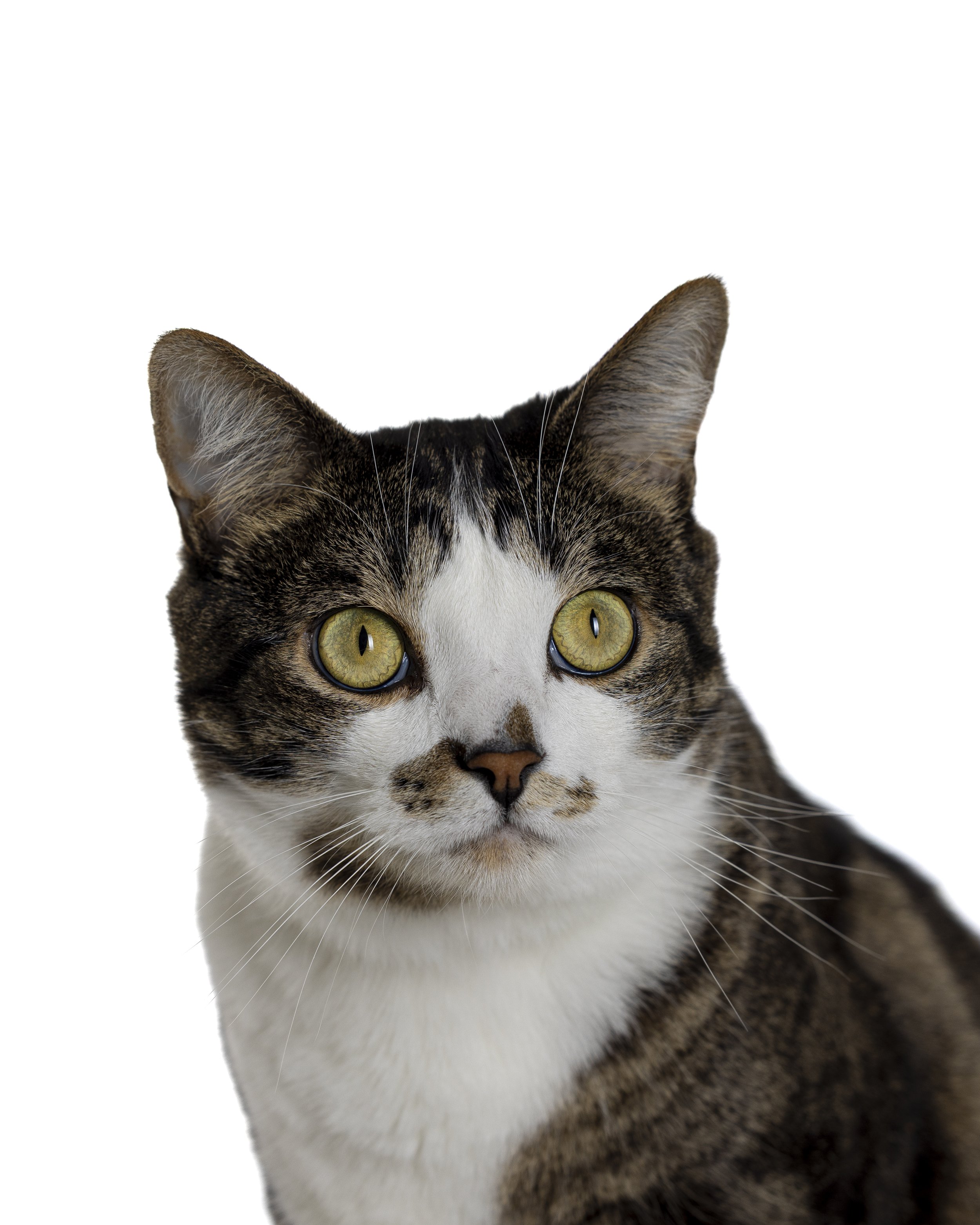 Eugene 1st Portrait Session (7 of 7).jpeg