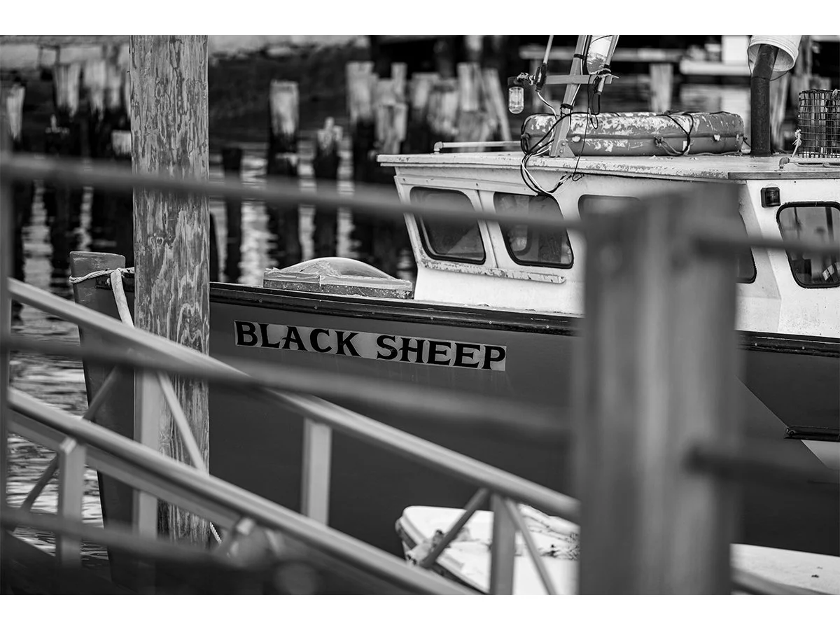 Black Sheep