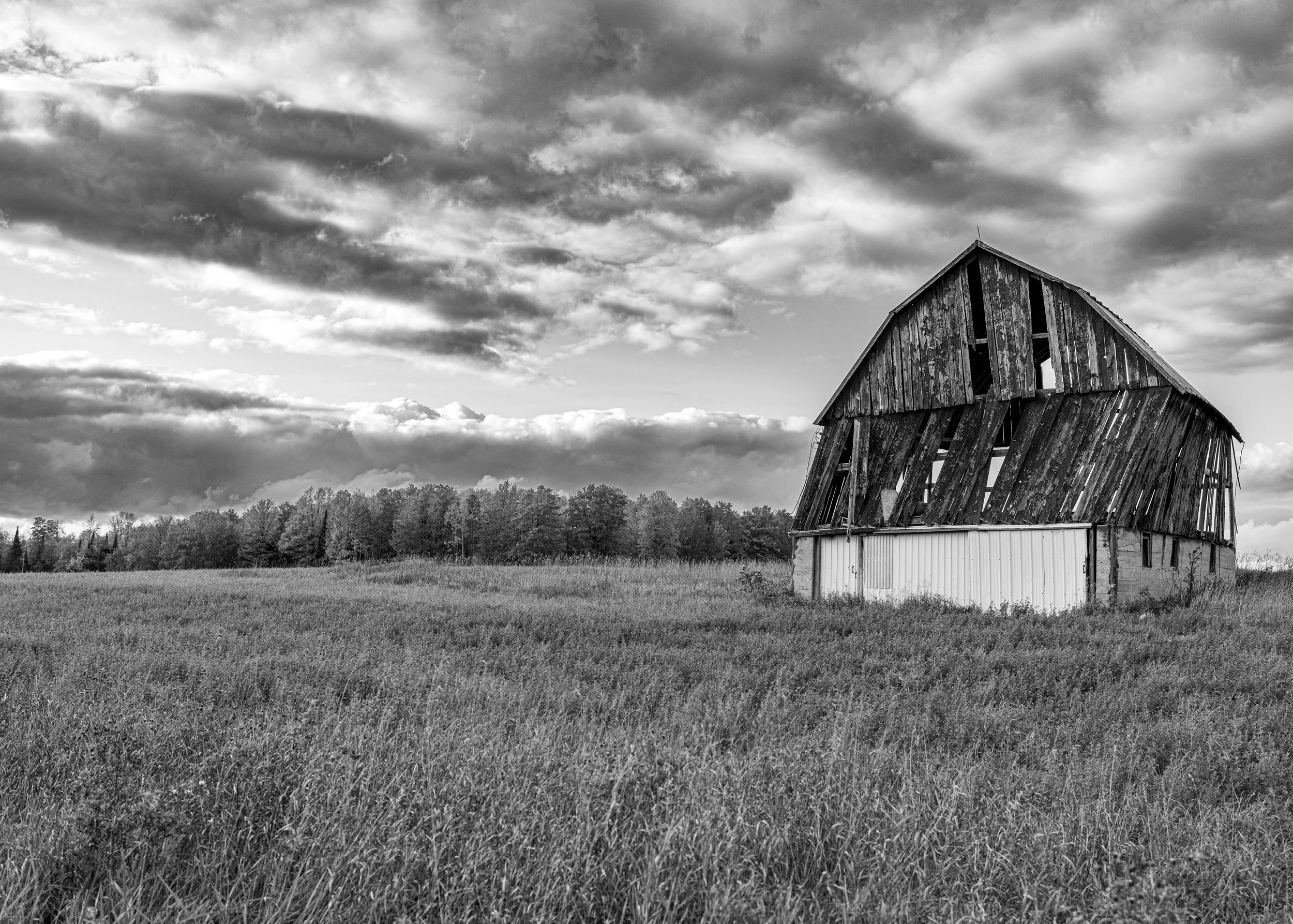 Hanging In There - Johannesburg, MI Website Size.jpg