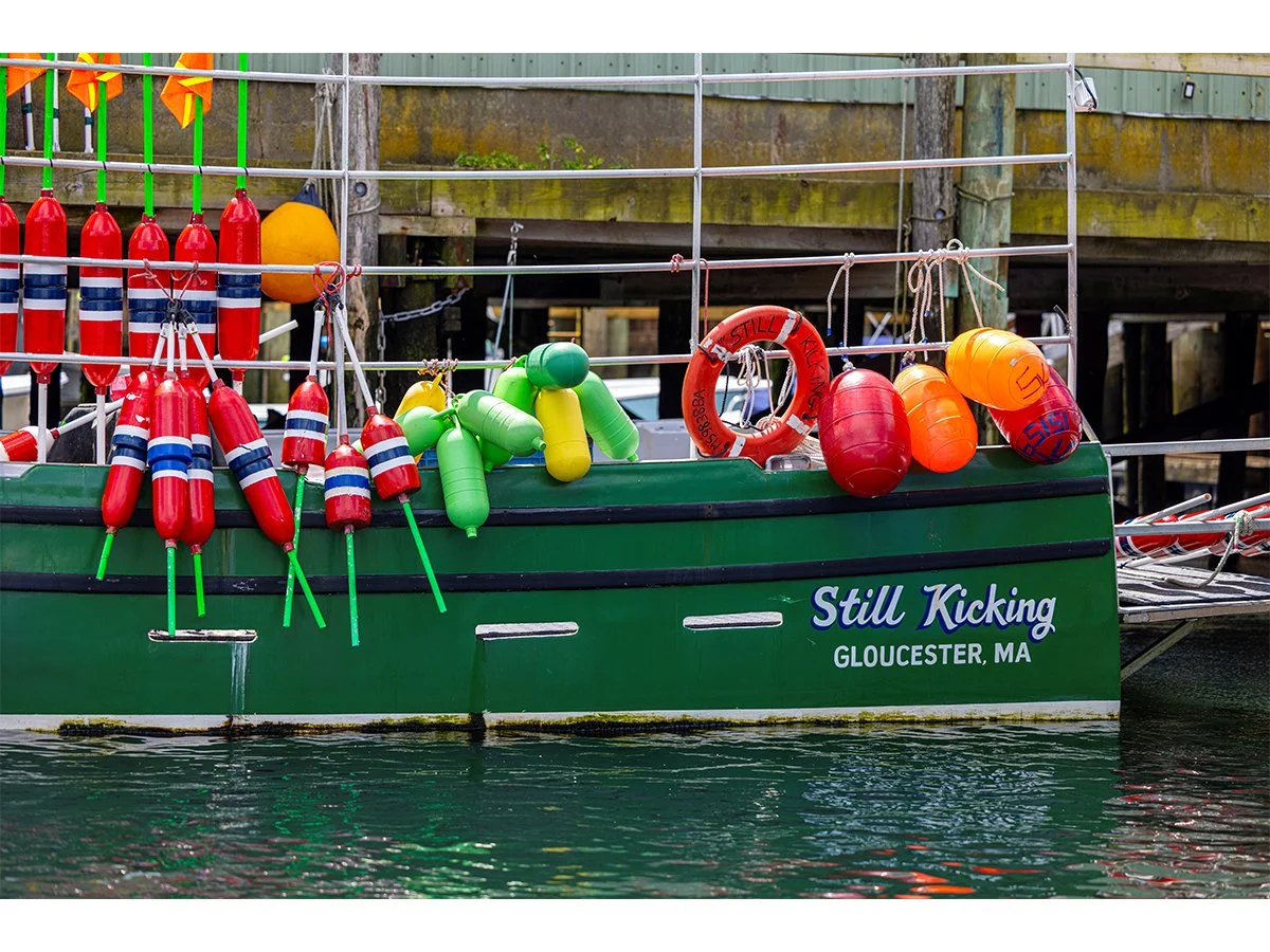 Still Kicking - Gloucester, MA.jpg
