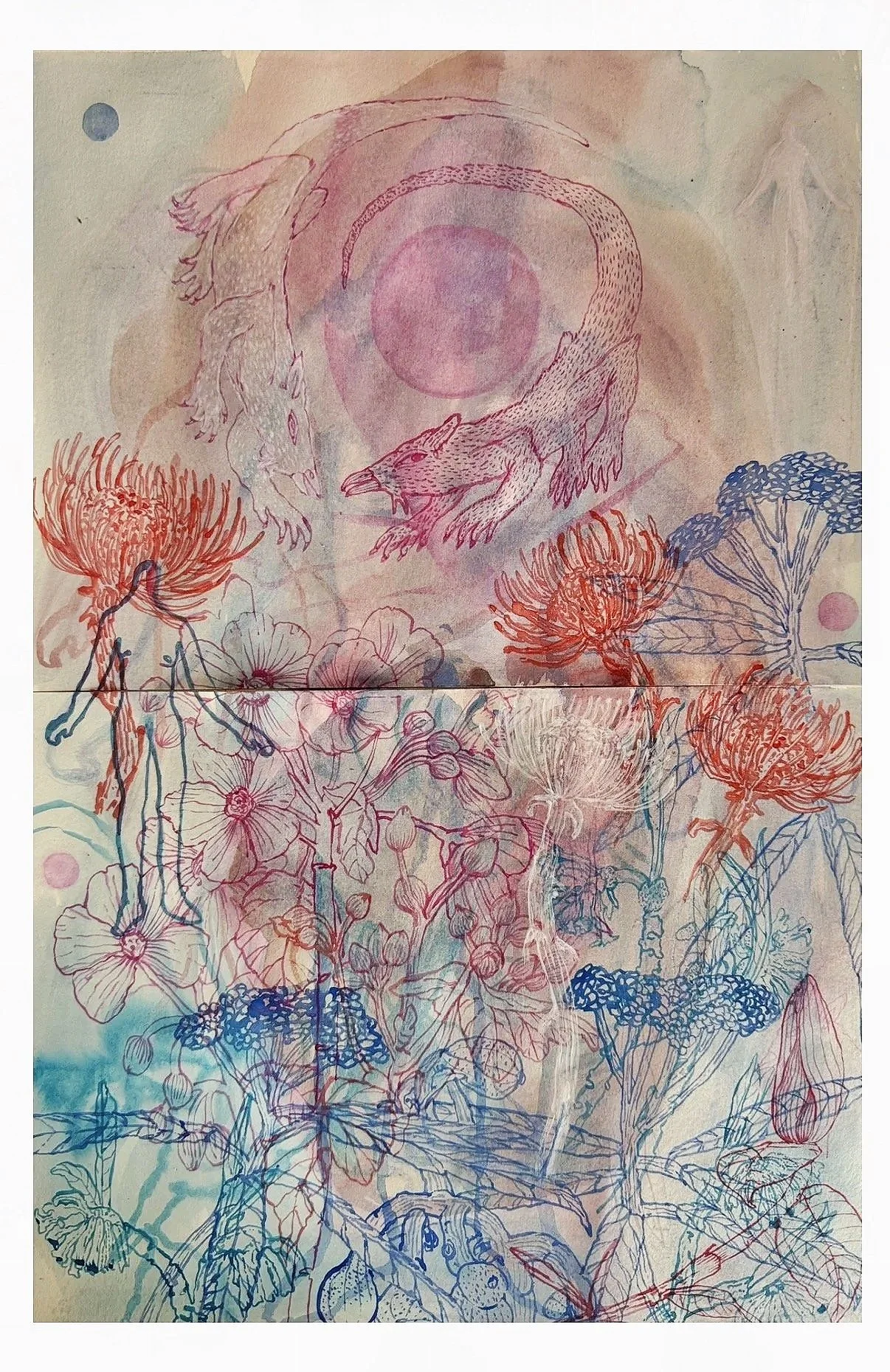 "Ghost Protea" (2026) 22" x 15" watercolor on paper $900