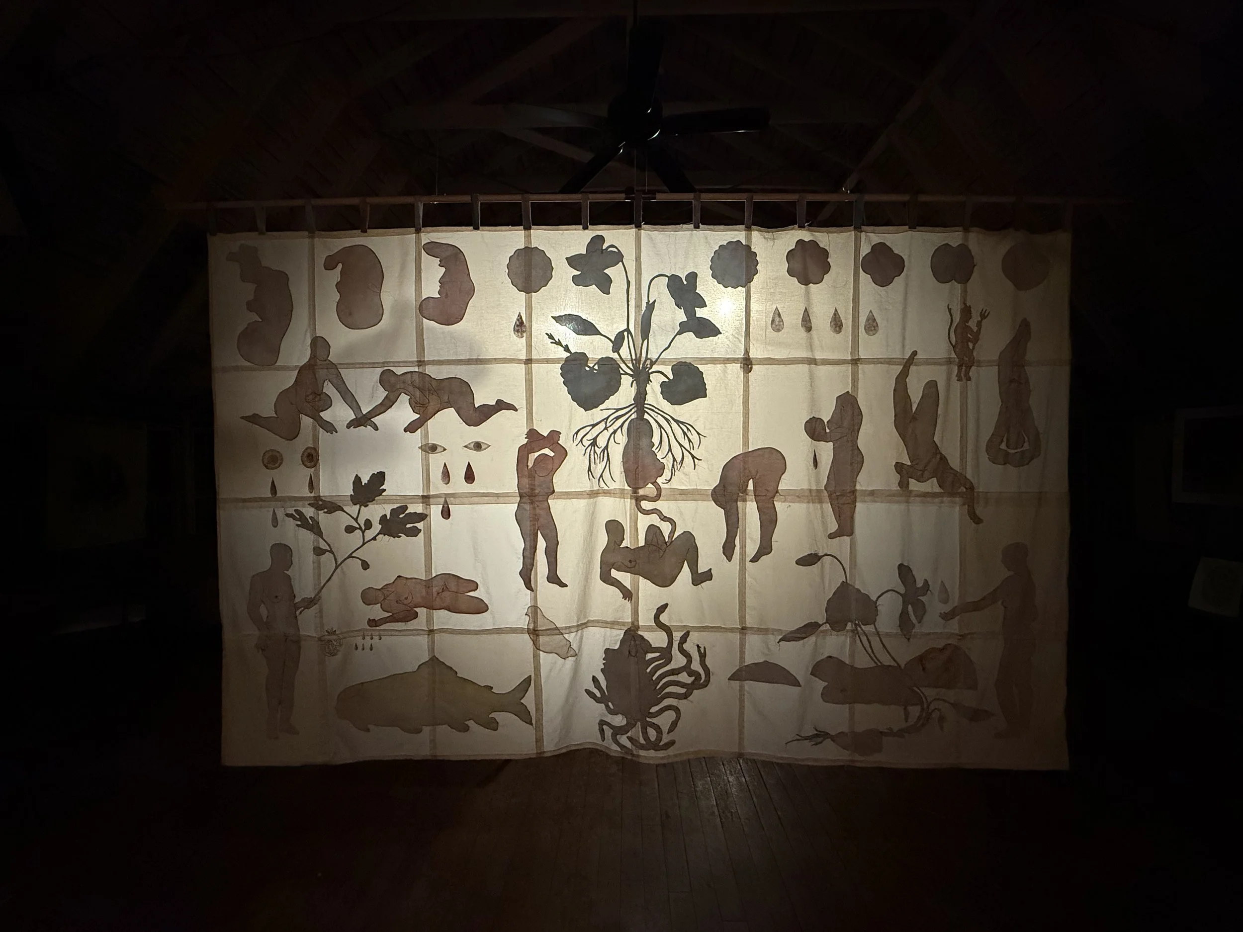 "Birthstory" (backlit, back view) installed in the Hawthorne Barn in Provincetown, MA at invitation of Twenty Summers (2025)