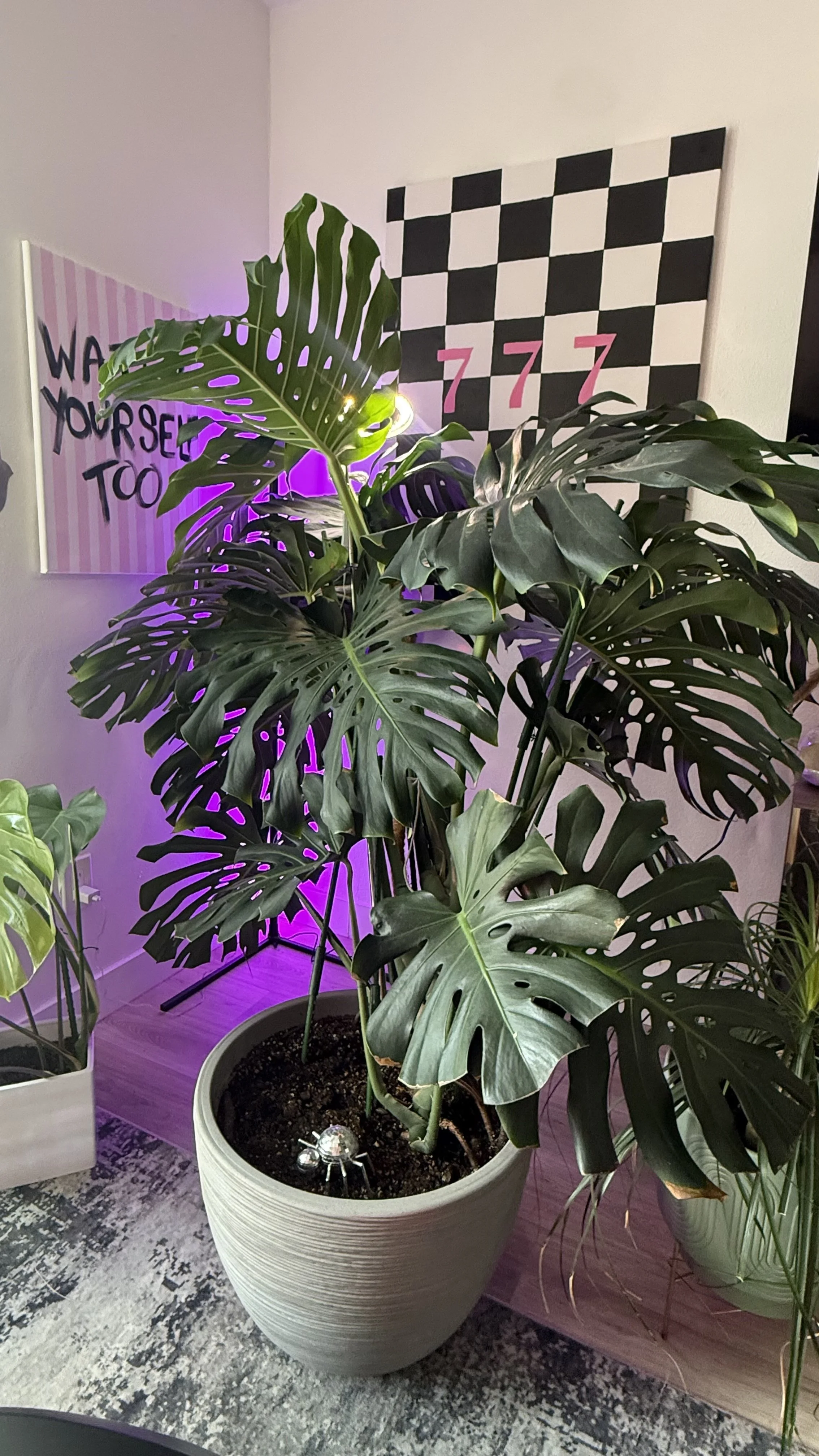 Is It Plants You’re After?